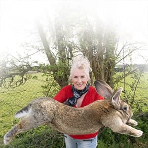 Meet the Flemish Giant, the bunny behind United's latest PR problems
