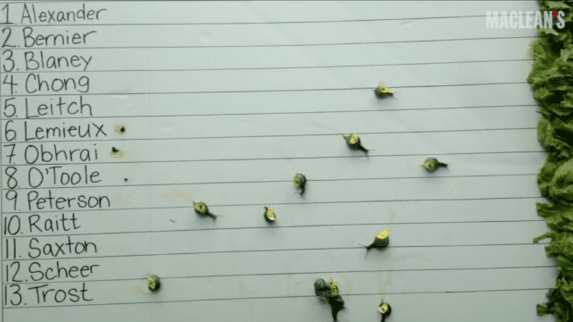 Watch 13 snails race to the finish faster than the Tory convention