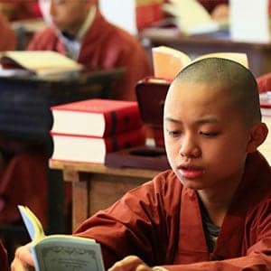 The little monks of Little Sands