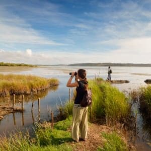 The rise of millennial, urban-dwelling birders