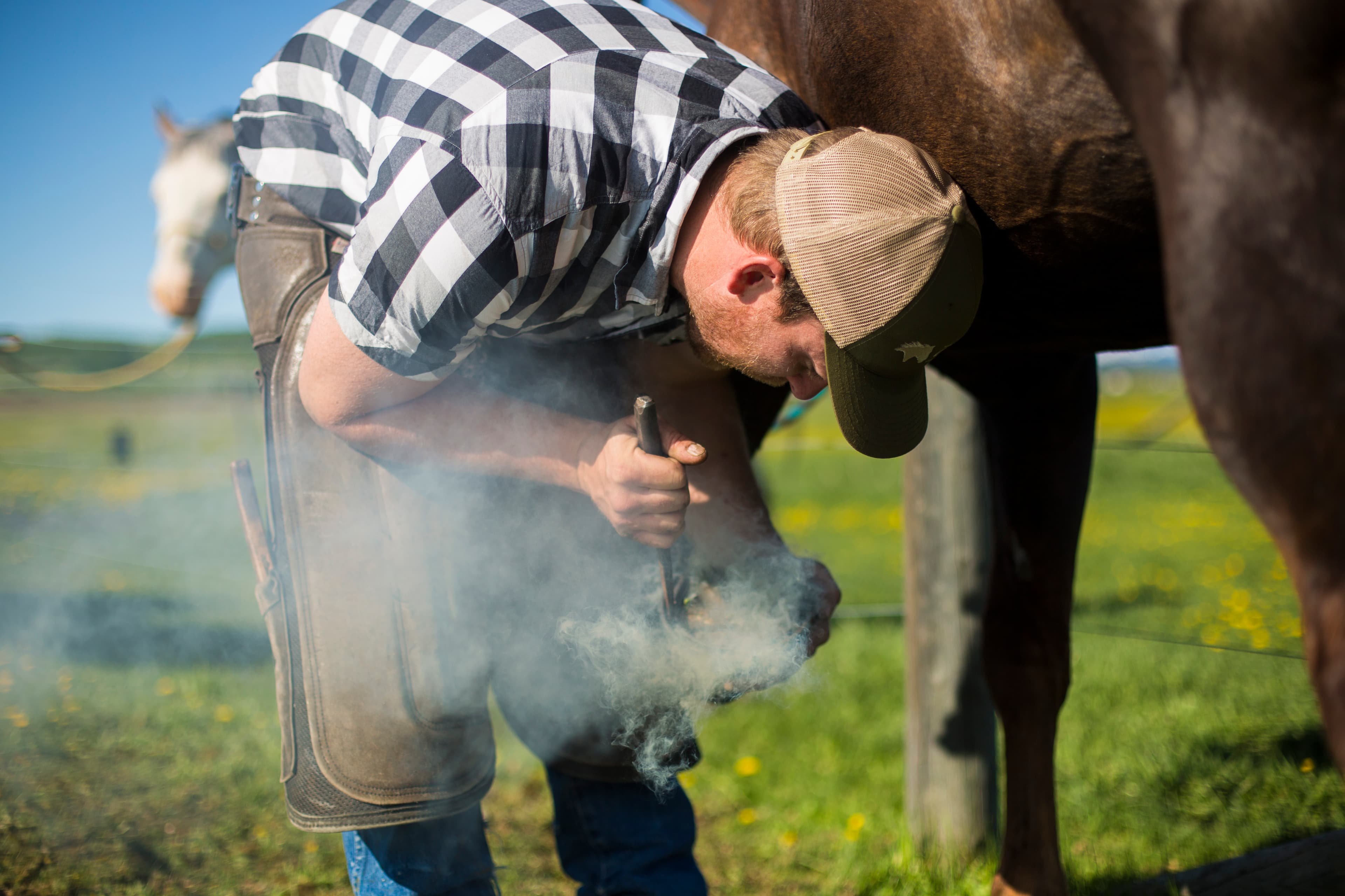 Shoeing a horse with a farrier, in 360 degrees