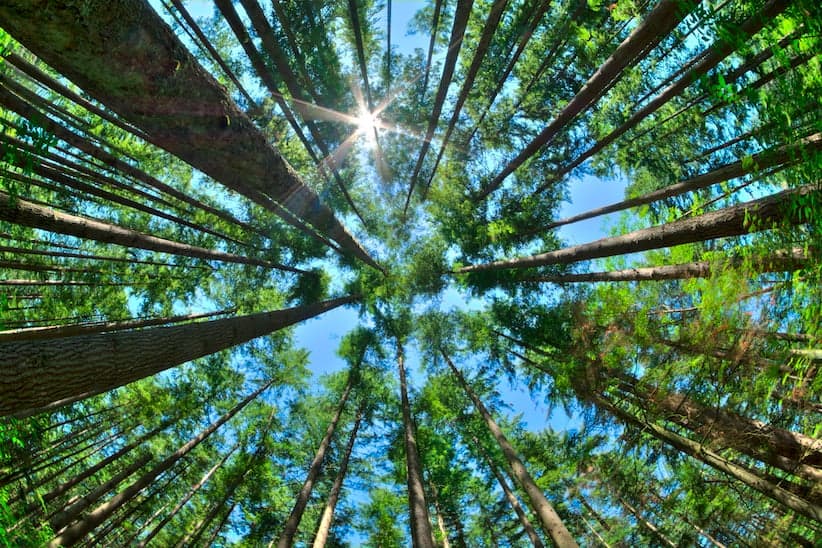 The Great Canadian Photo Contest: July’s winners