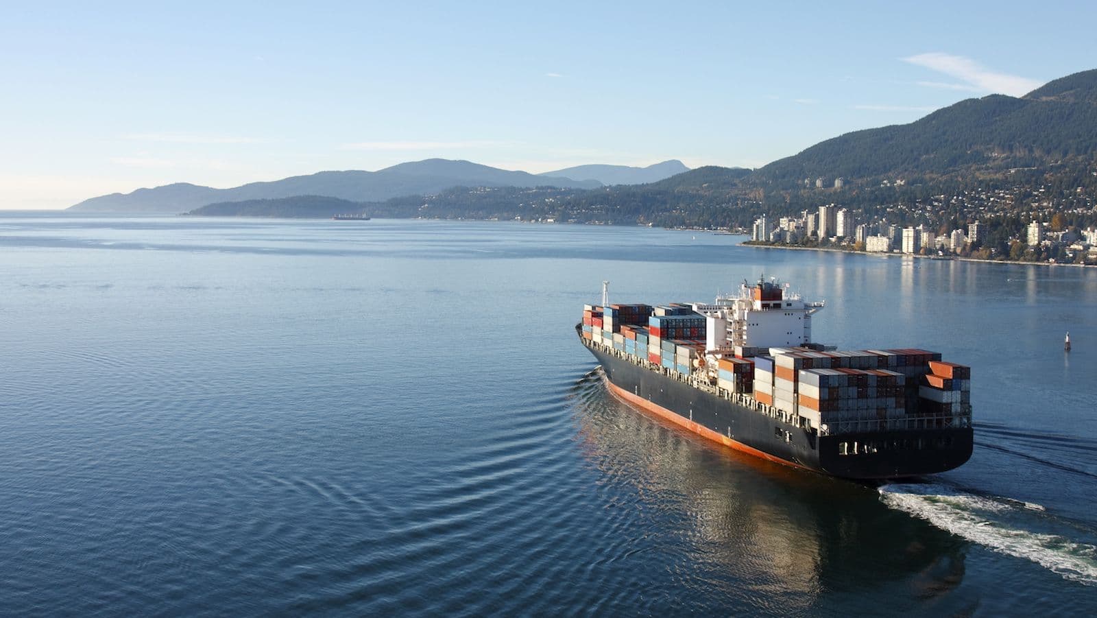 Why some companies become export superstars while others fail