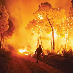 'This is like a living thing': How it feels to escape a wildfire