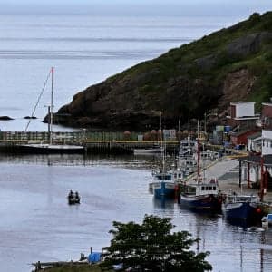Newfoundland has a problem: no one wants to be a politician