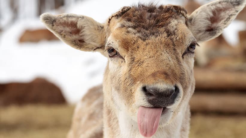 Great Canadian Photo Contest: October's winners