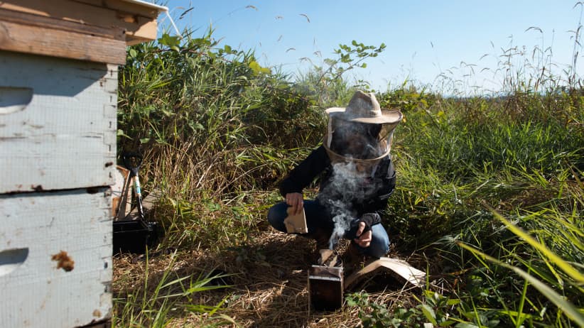 Bee-ing prepared in Simon Fraser University's mechatronics program