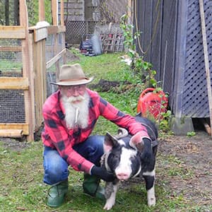 How a North Bay pig is standing up for backyard chickens
