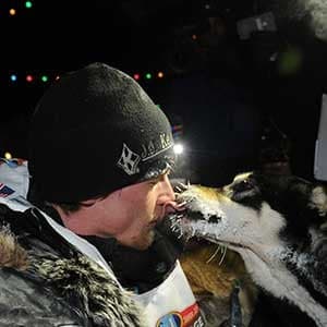 Who's really watching out for sled dogs?