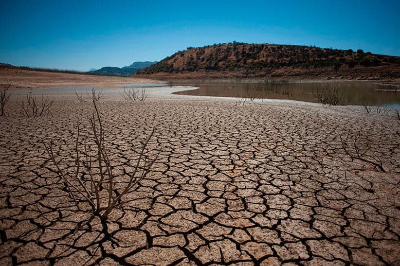 Picture shows the cracked riverbed due to drought in the Guadalteba reservoir, in Los Campillos, on August 9, 2017. (Jorge Guerrero/AFP/Getty Images)