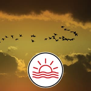 NAFTA Mock Talks, Round 1: Sunset clause