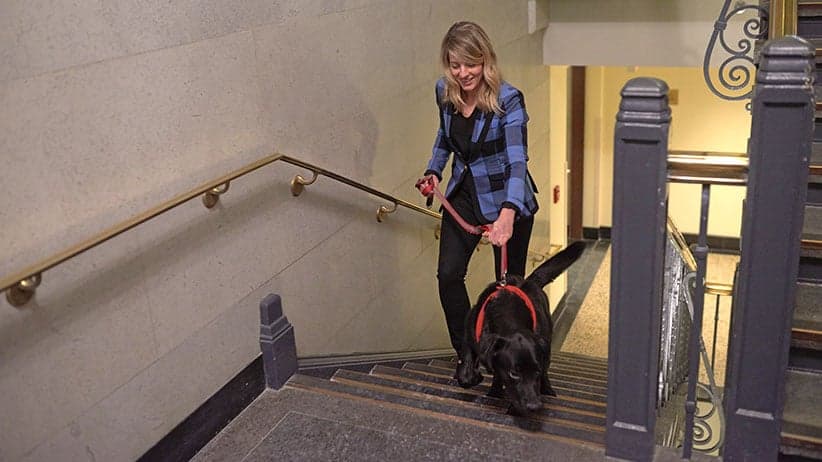 Minister Melanie Joly with her foster dog Naboo at the Justice Building in Ottawa. (Photograph by Jessica Deeks)