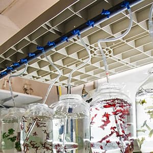 How Acadian Seaplants became a global leader in seaweed