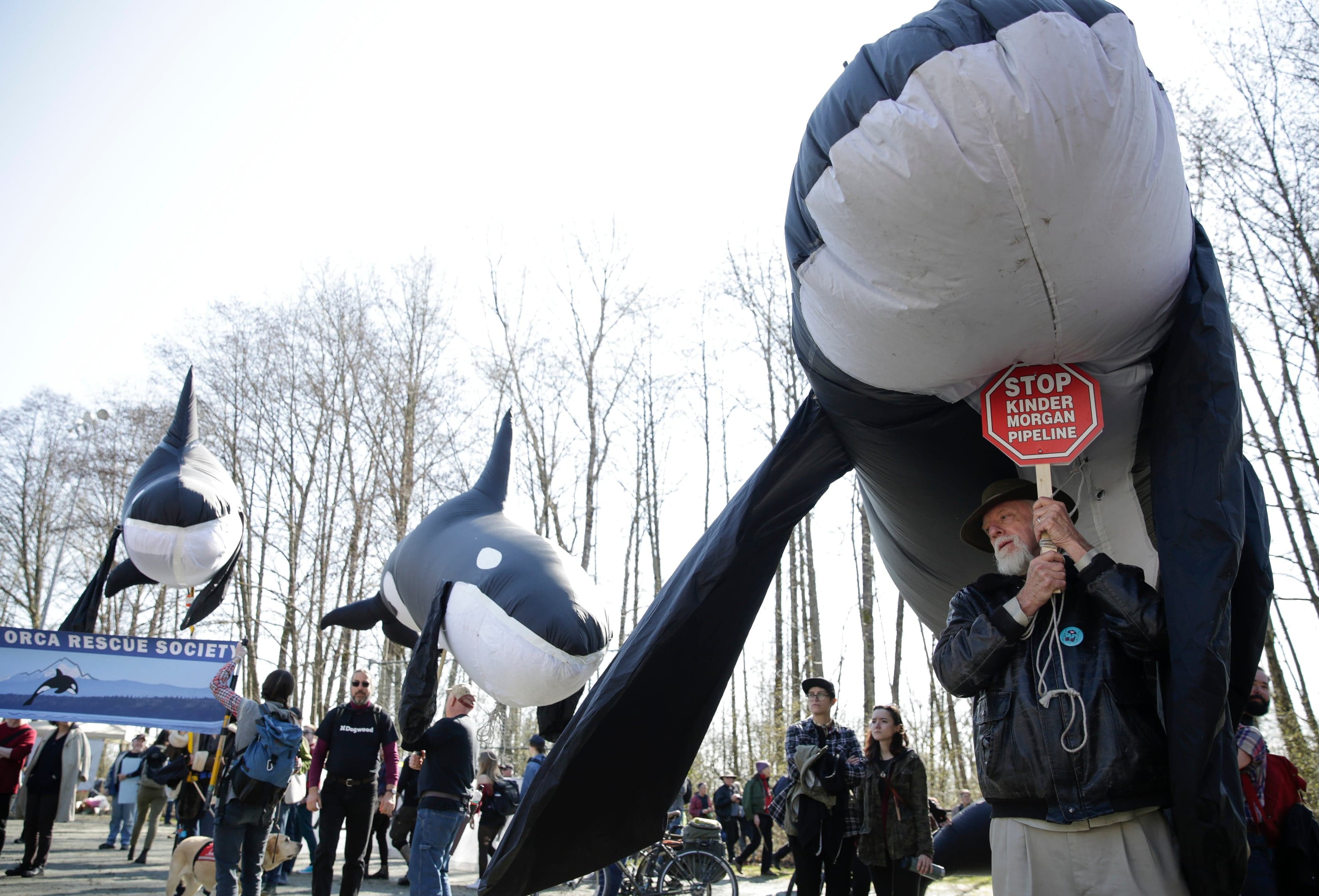 It's time for environmentalists to move on from the Trans Mountain pipeline