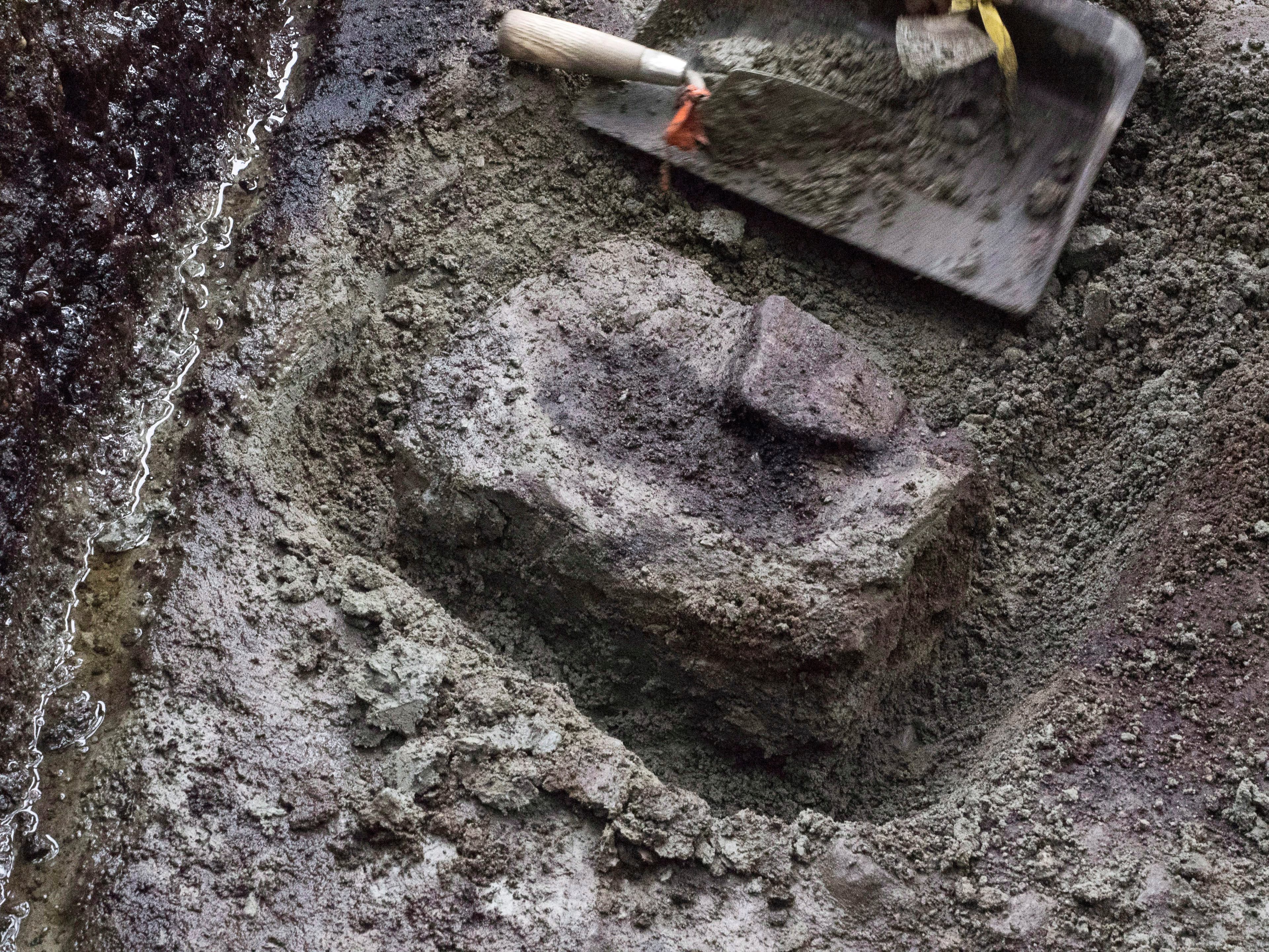 What makes the Ice Age footprints found in B.C. so remarkable