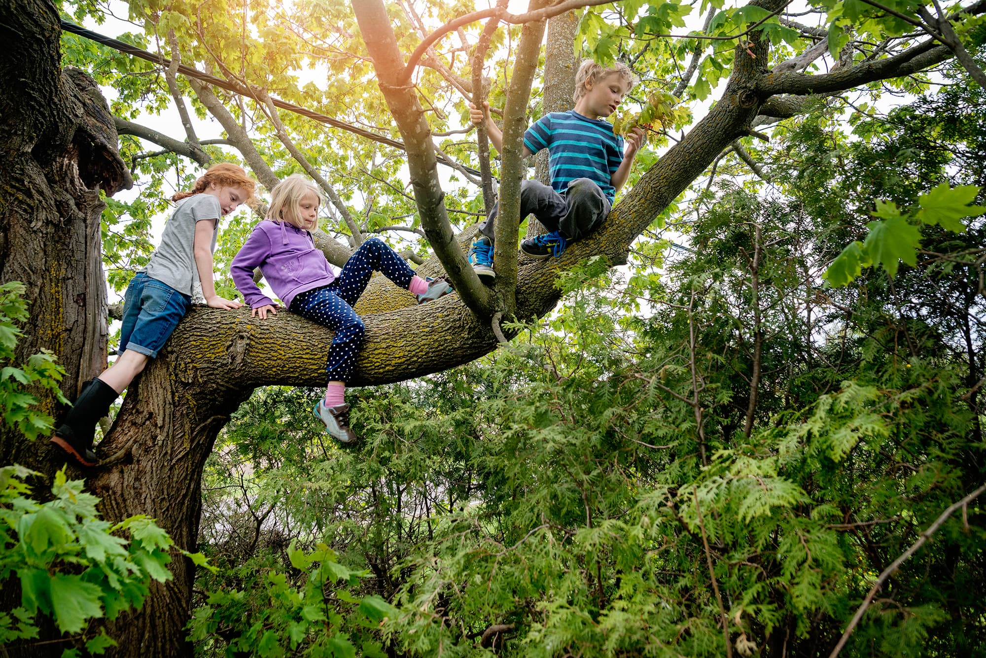 Kids should take risks, even dangerous ones