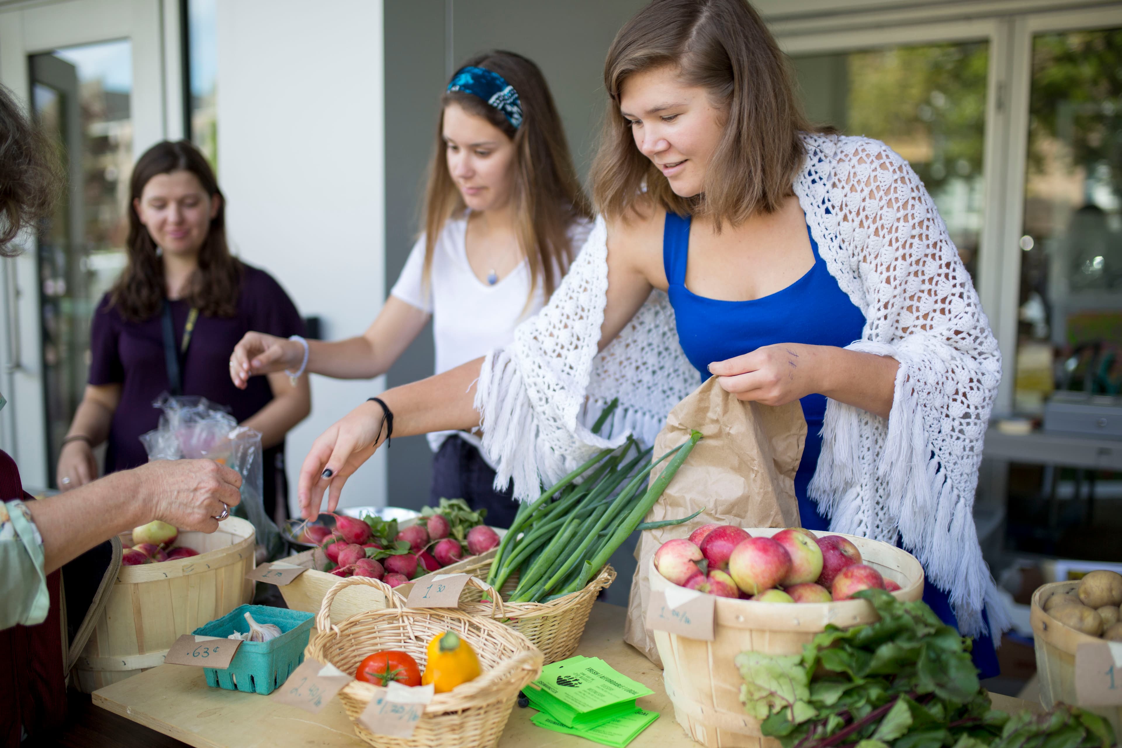 Dalhouse University: student life on campus
