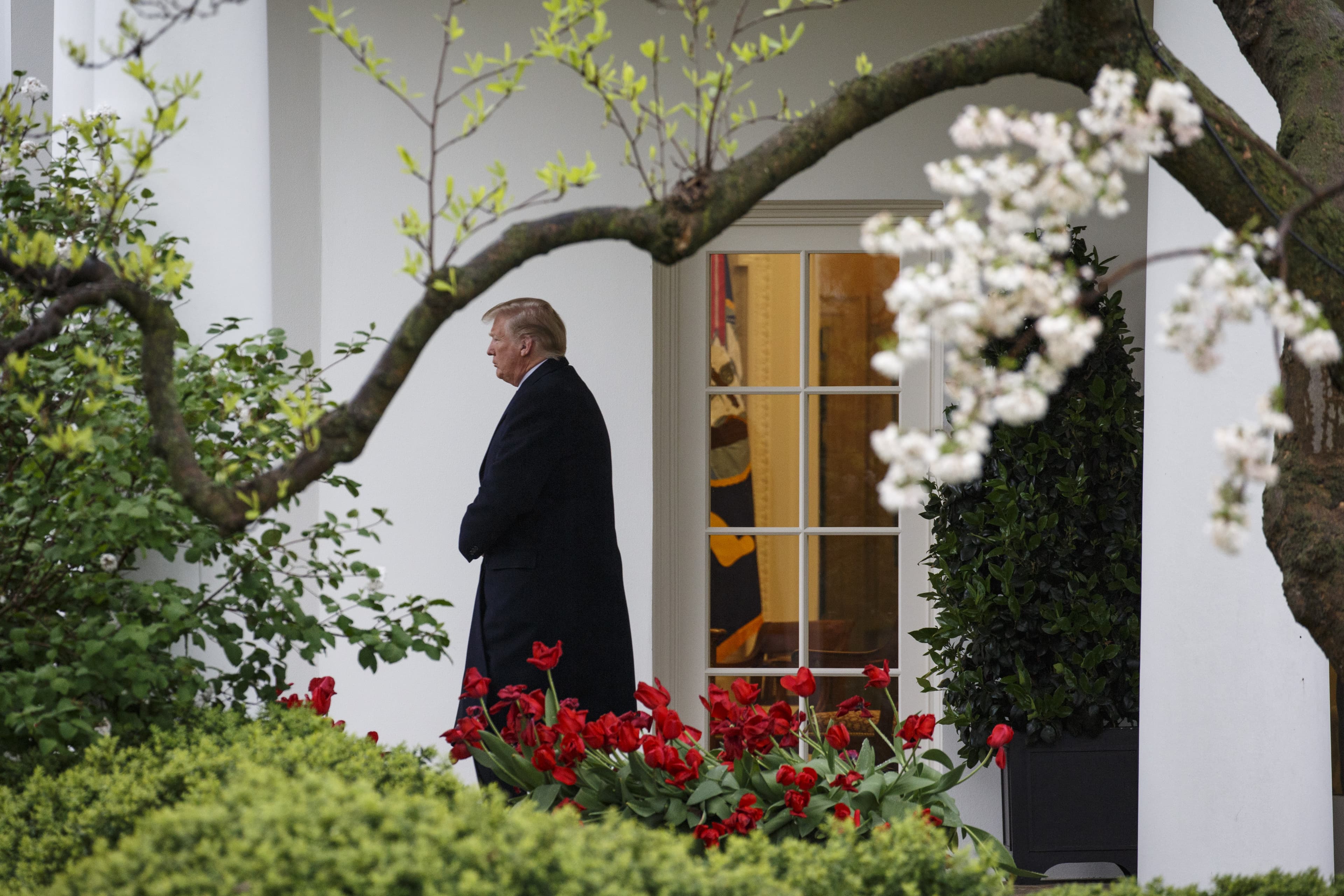 Donald Trump goes to history class