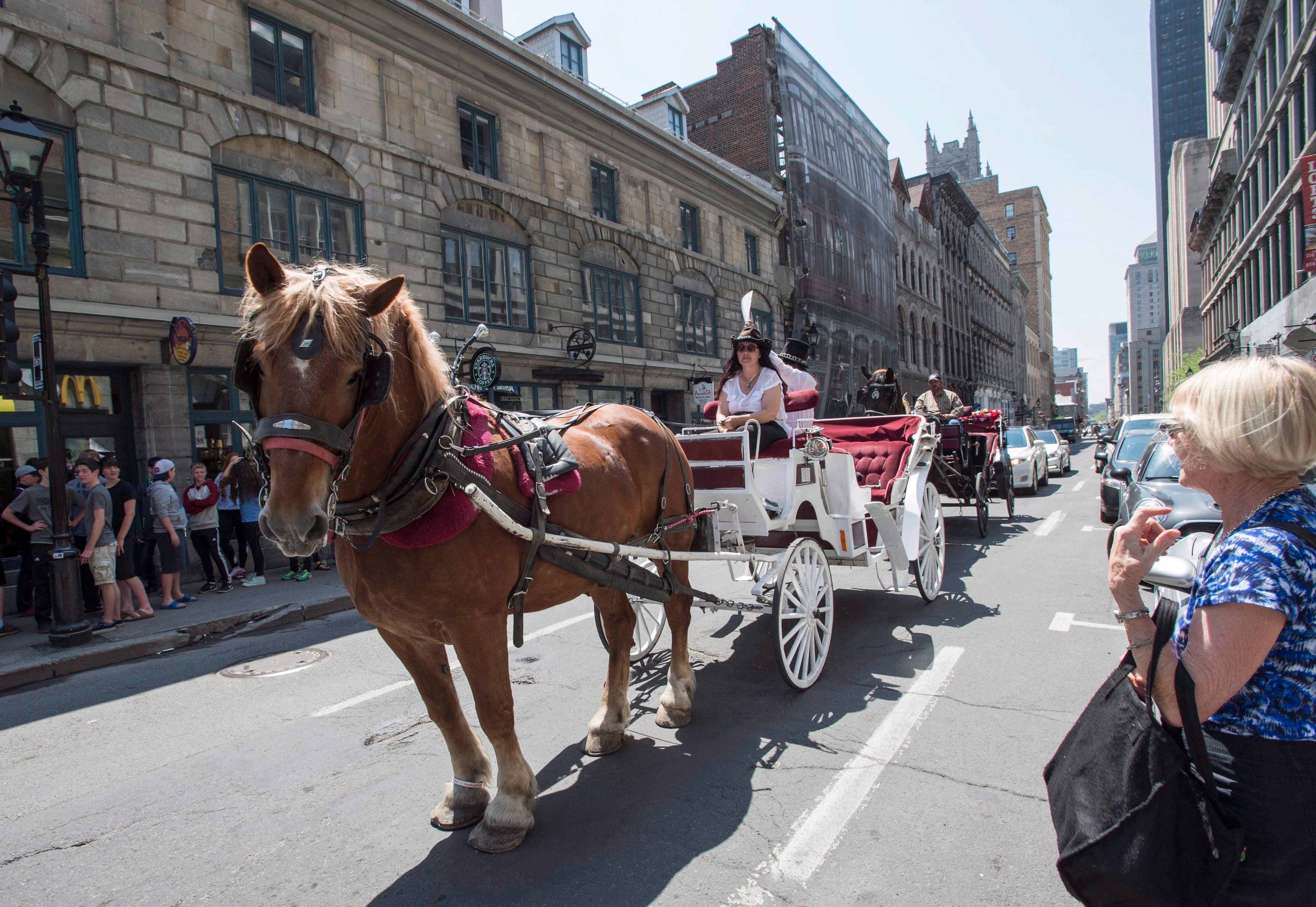 It's time to put horse-drawn carriages out to pasture