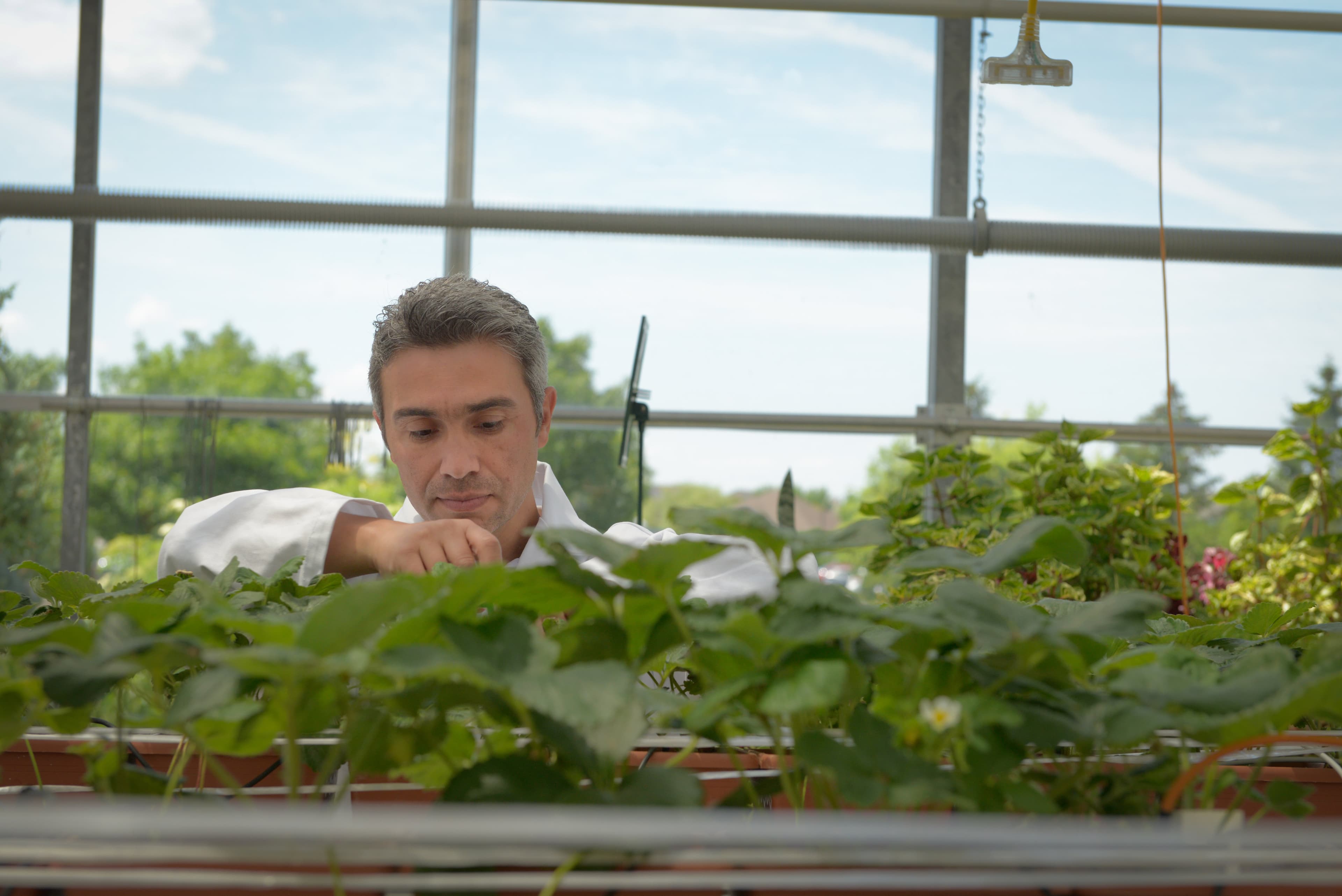 Want a job in the cannabis industry? Try these Canadian colleges