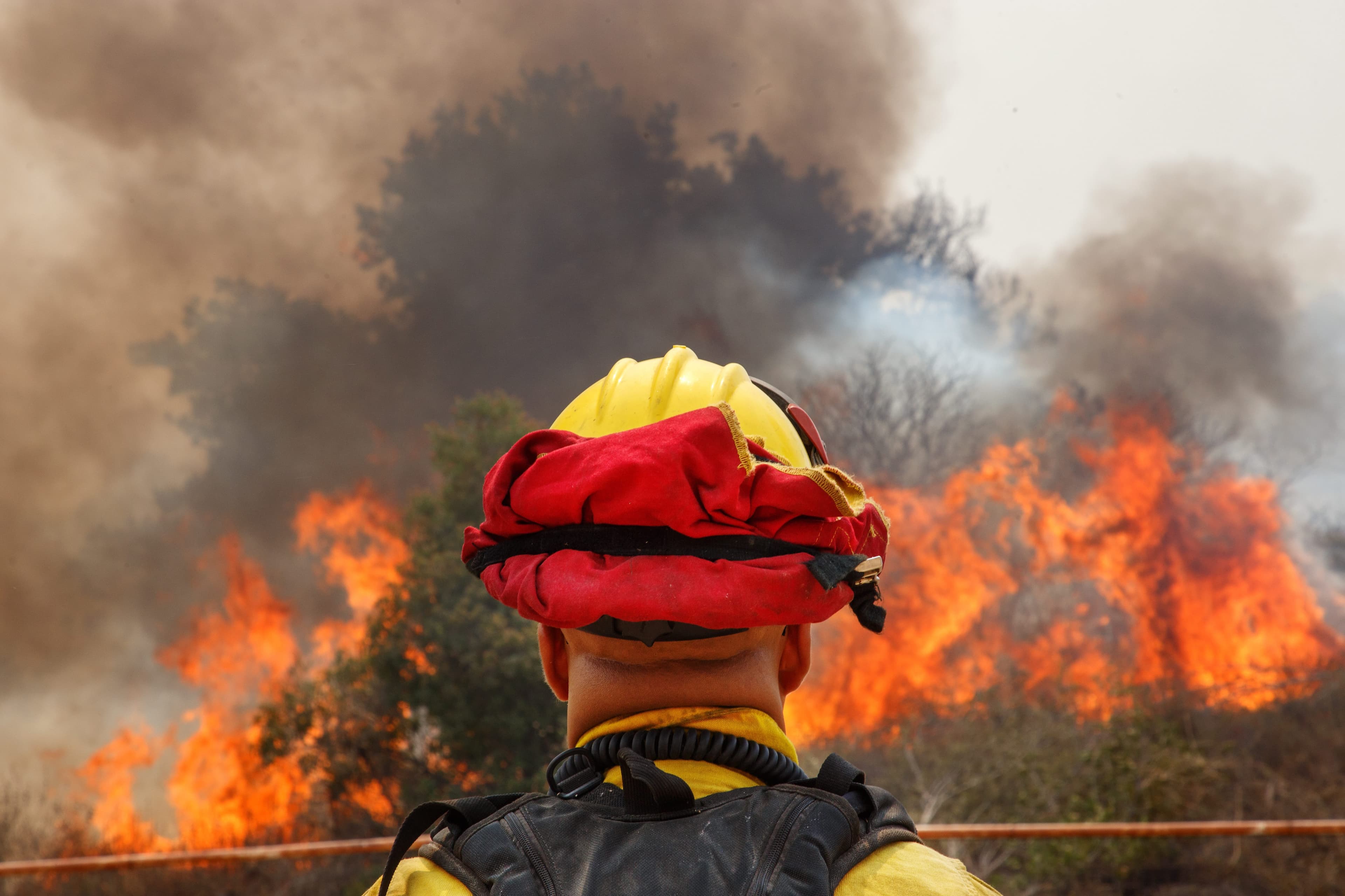 Everything Donald Trump got wrong linking California wildfires to Canadian lumber imports