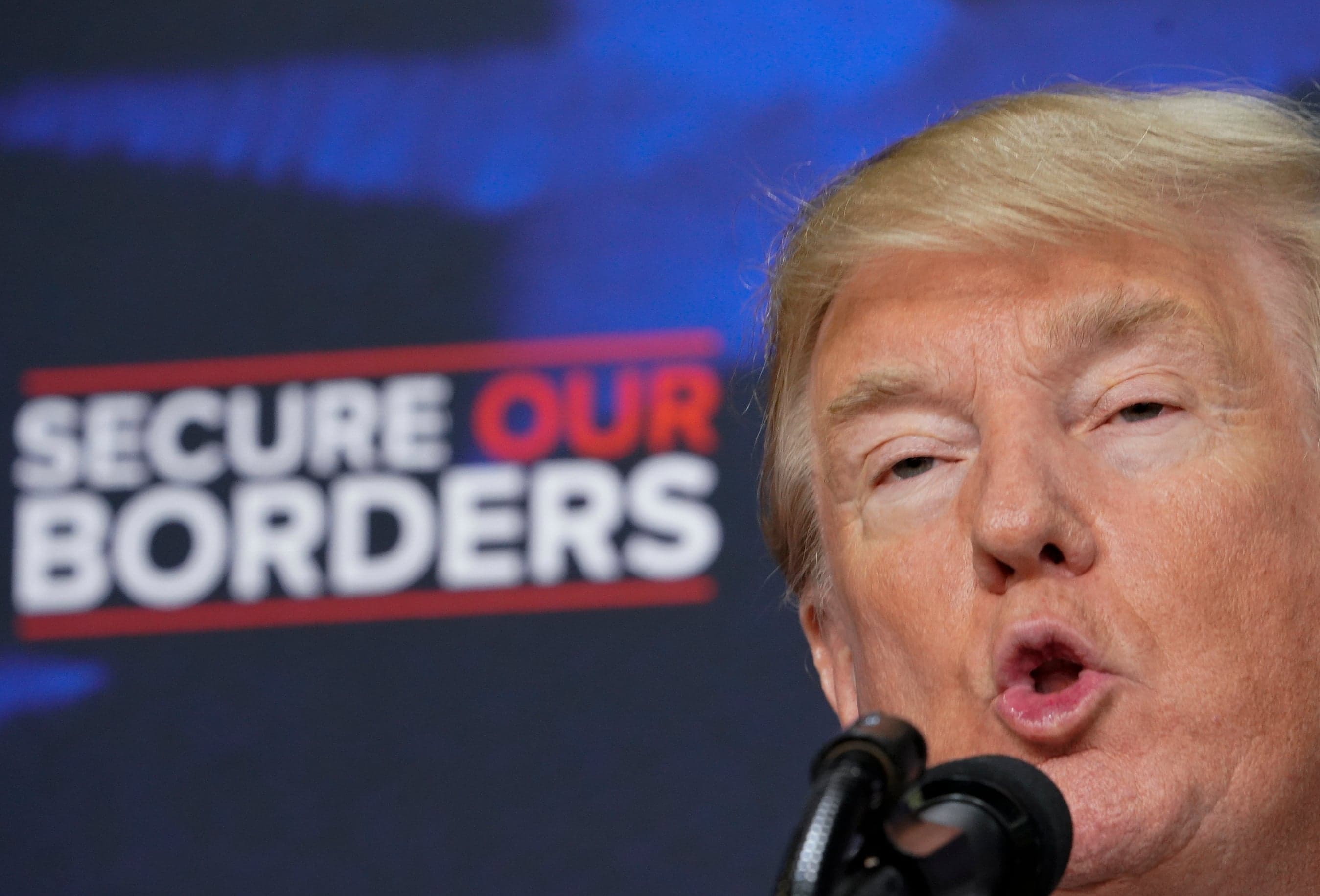 Donald Trump's target for the midterms: legal immigration