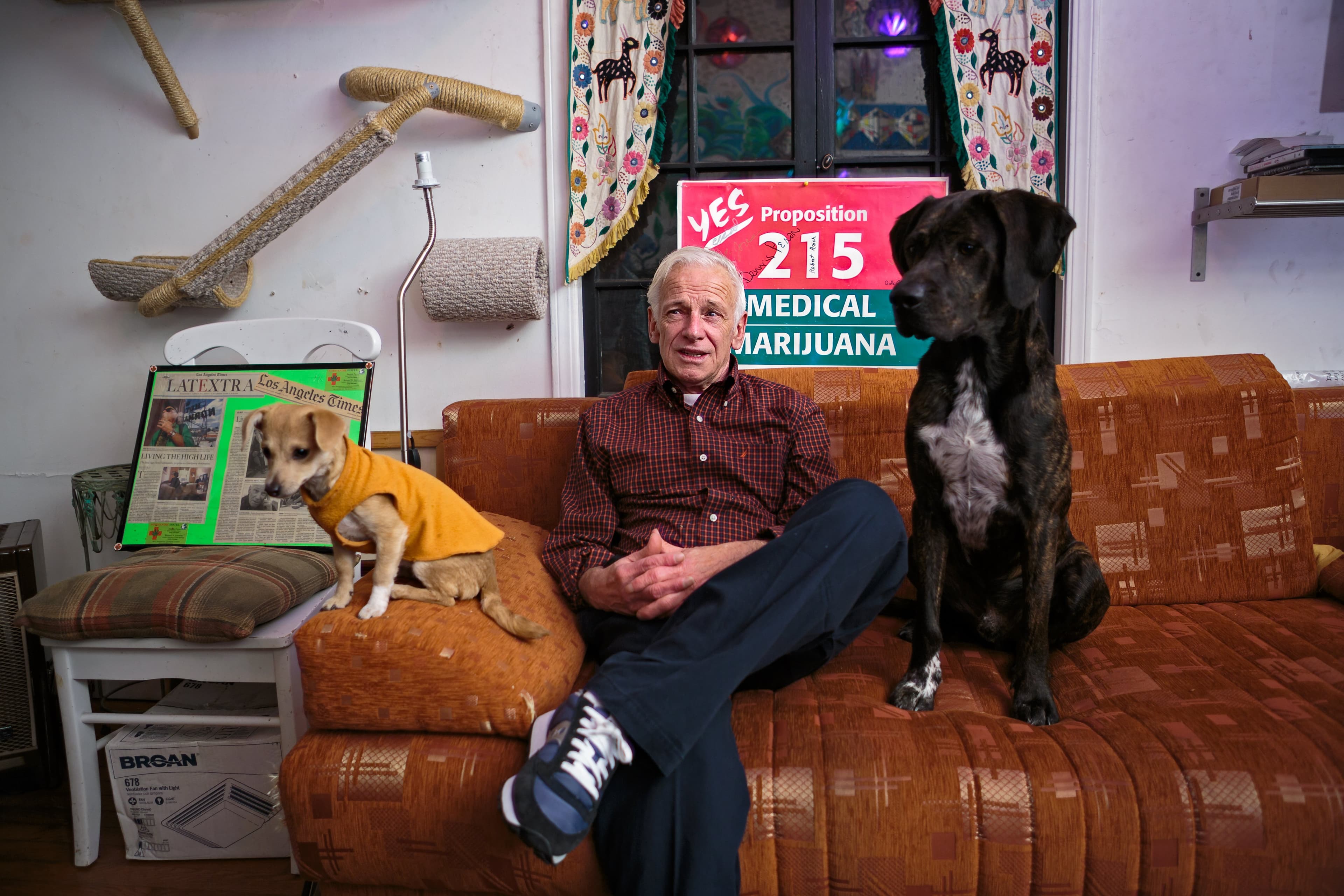 Should I give pot to my pets?