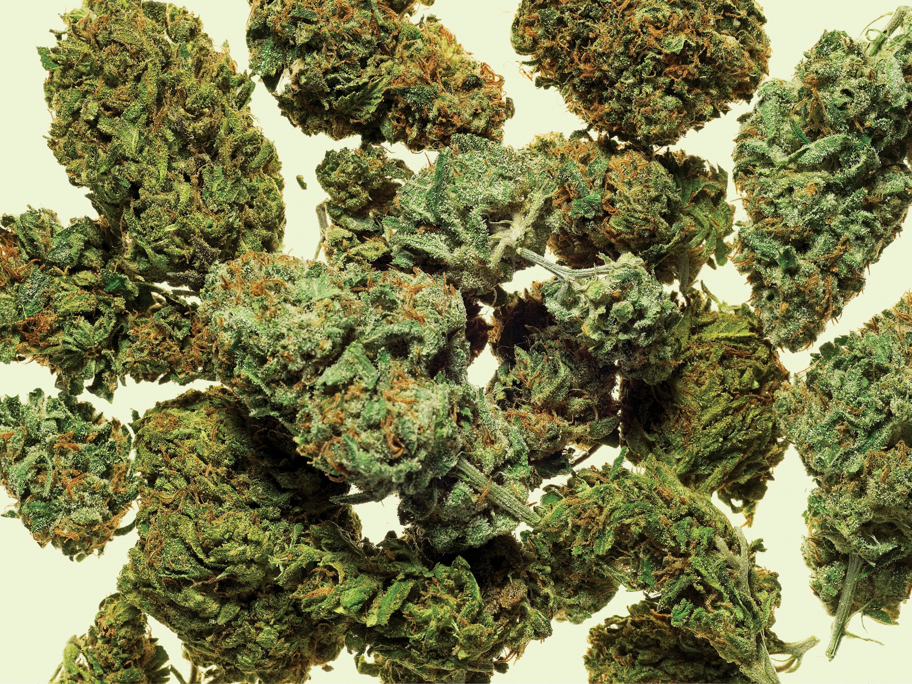 With its patchwork of half-baked, absurd laws, Canada isn't ready for legal weed