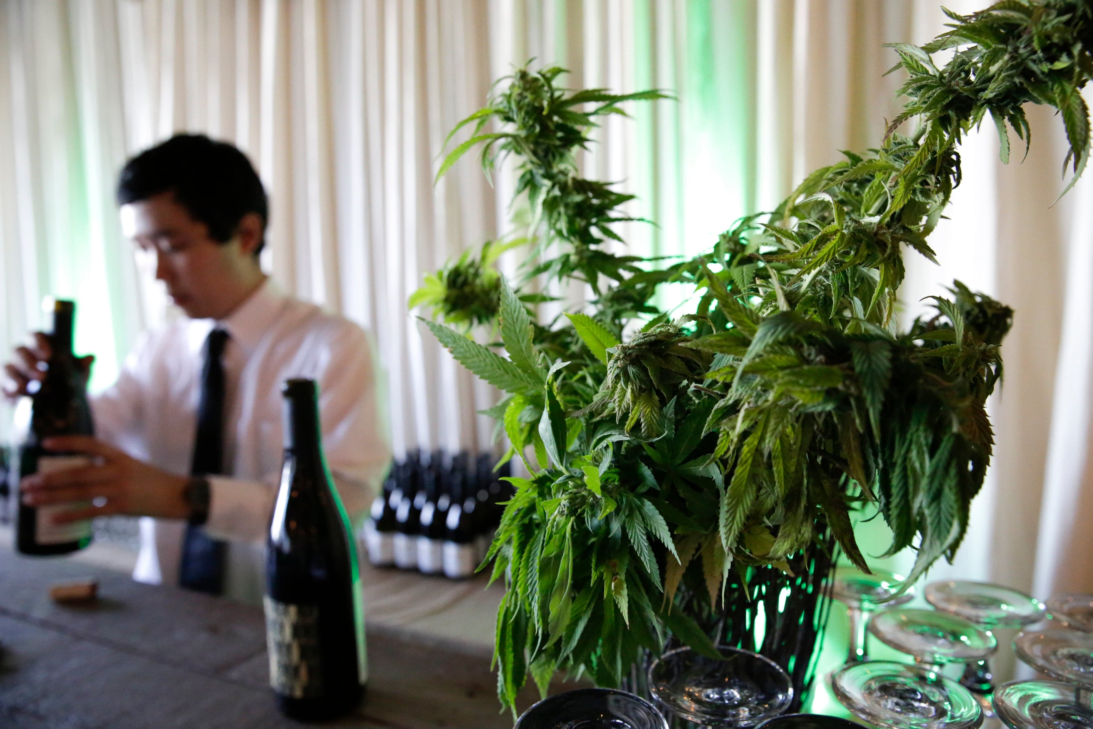 What happens if alcohol and marijuana mix?