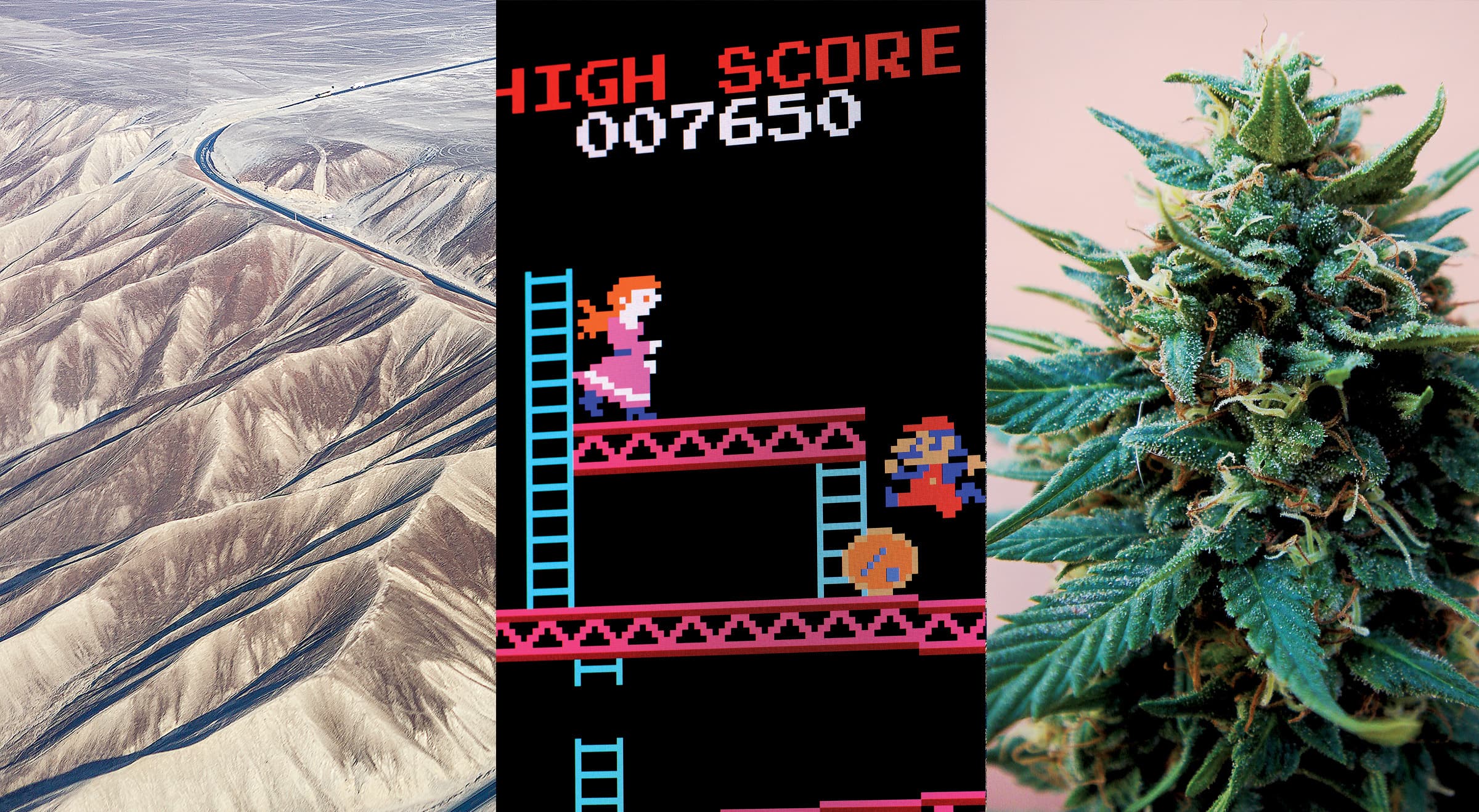 The Maclean's Quiz: How much do you know about cannabis?