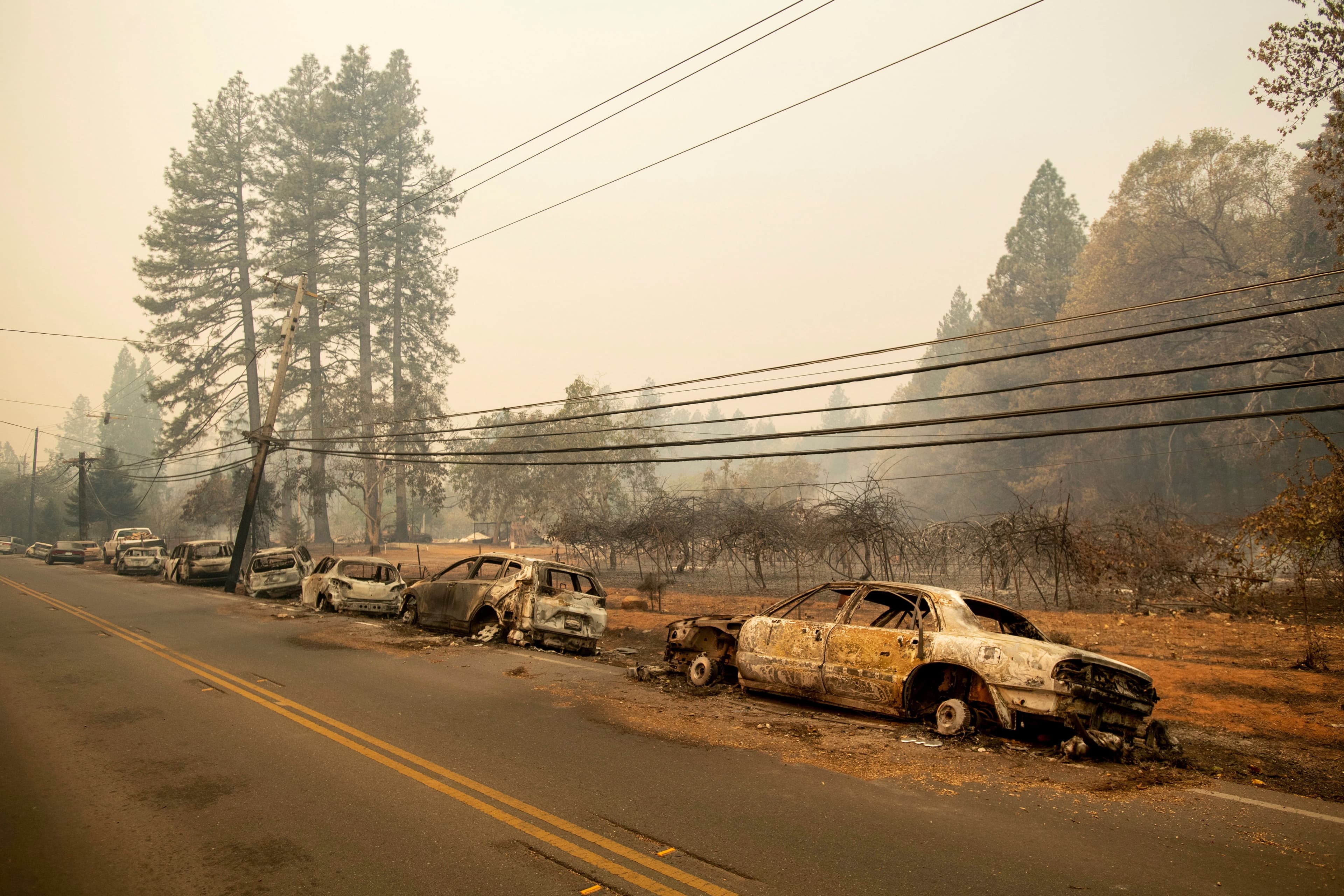California's boulevard of burnt-out dreams