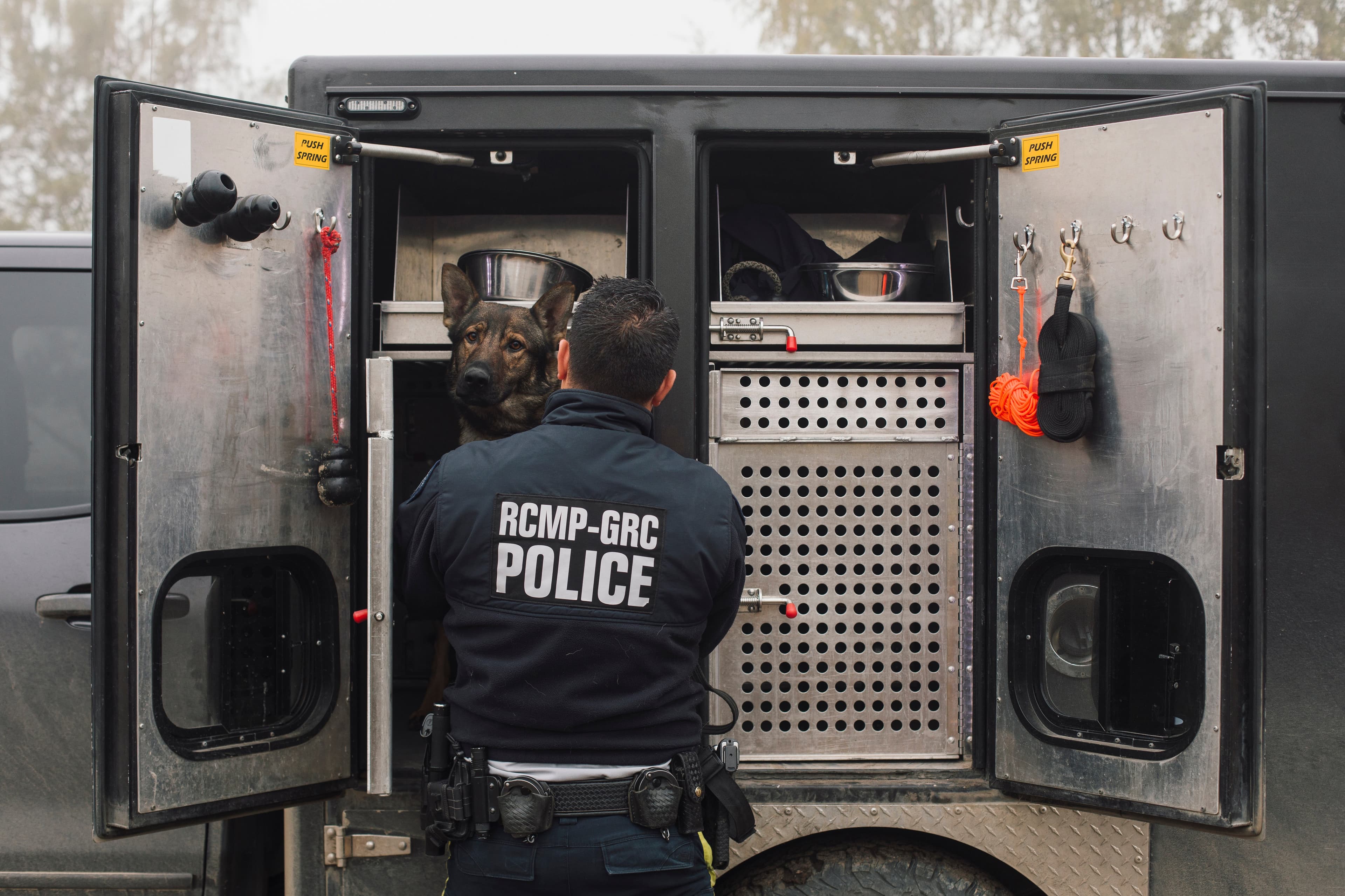 Fentanyl-detecting dogs are the newest soldiers in the battle against opioids
