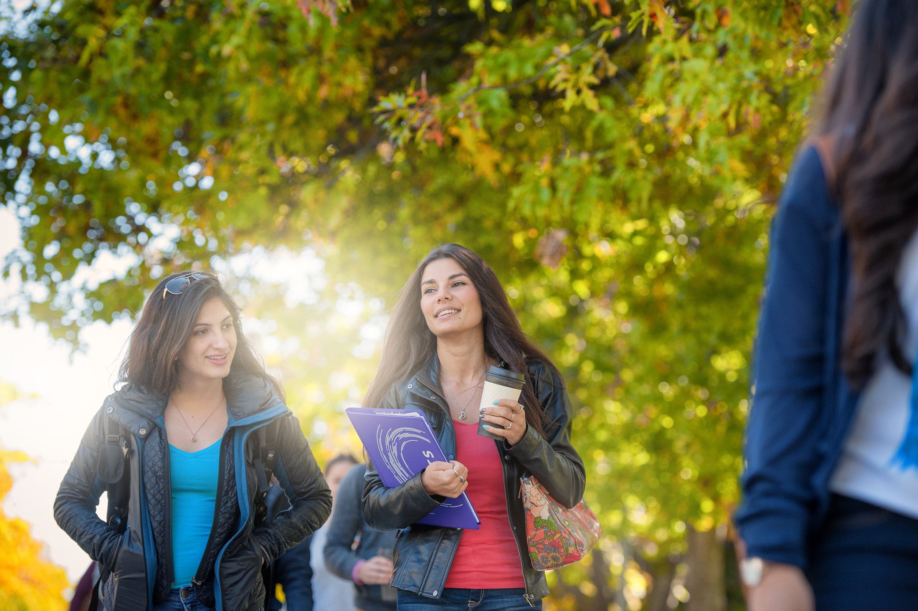 Best business universities in Canada: 2019 ranking