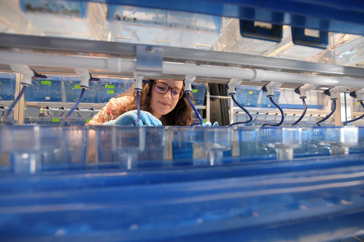 Best environmental science universities in Canada: 2019 ranking