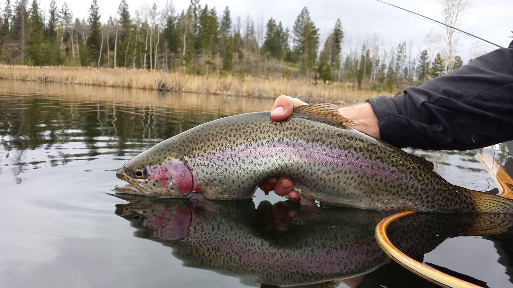 Reel justice prevails: This B.C. man won a 30-year battle to fish in a public lake