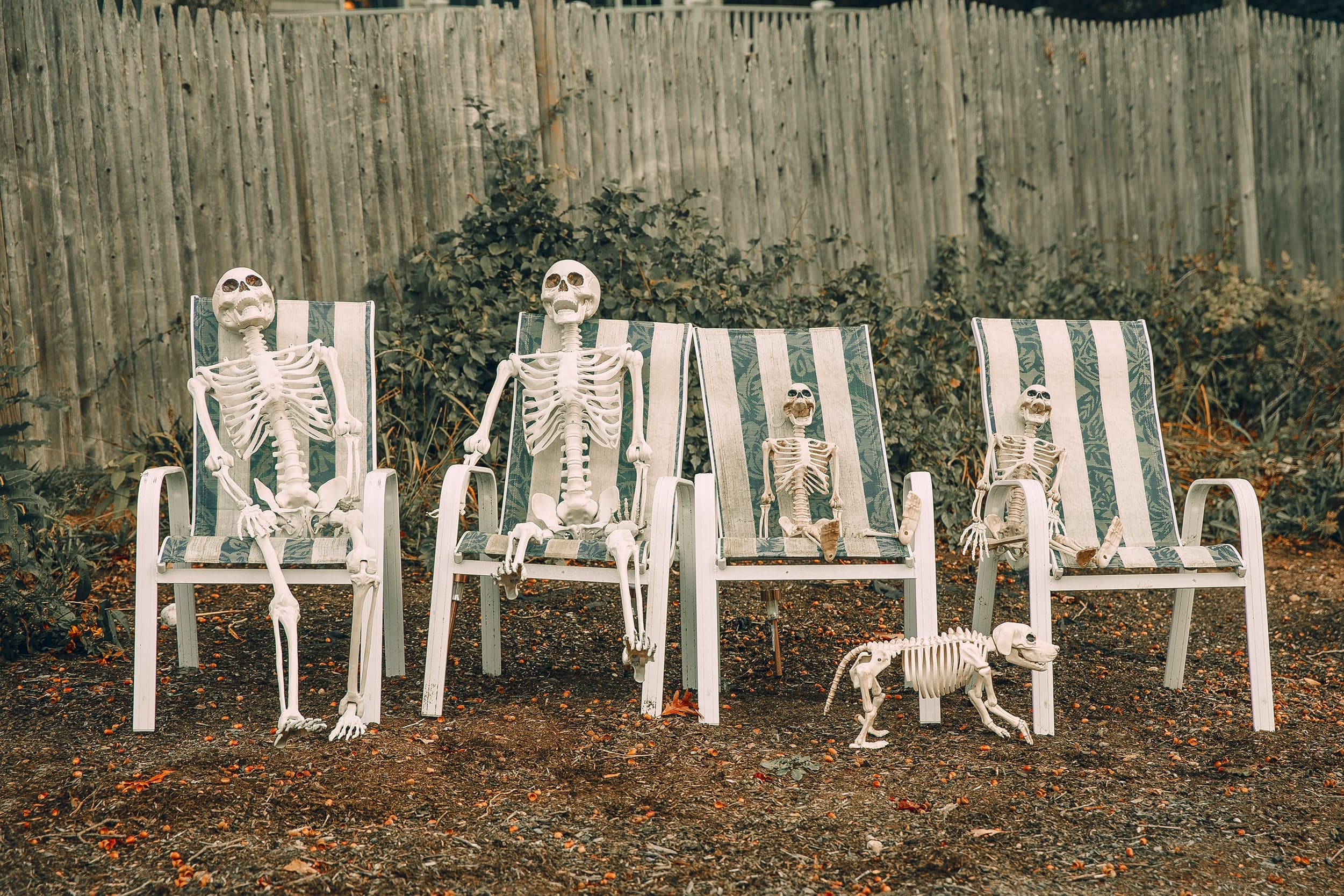 You mean your family doesn't constantly talk about death?