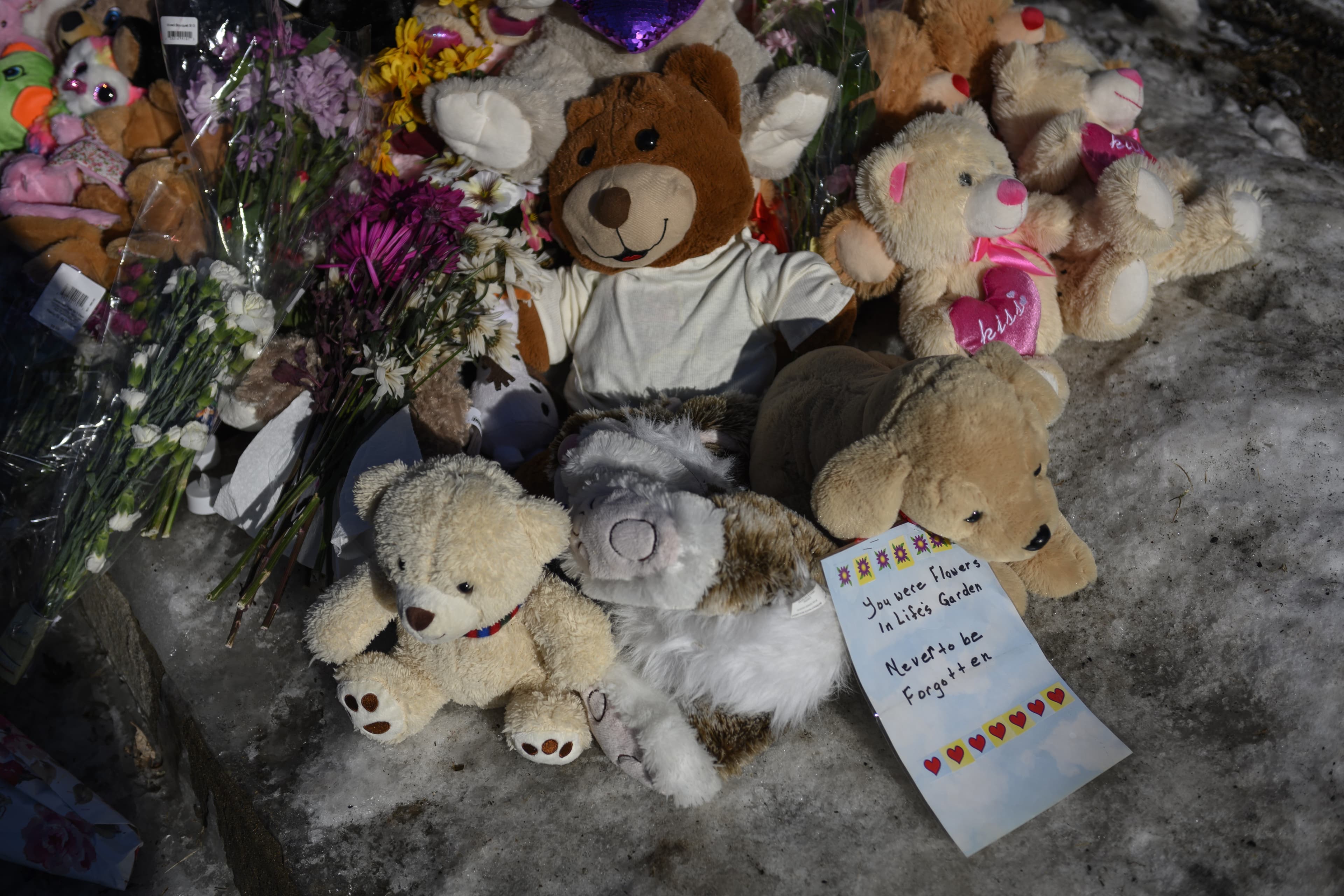 A country that opened its arms to refugees is devastated by loss of seven Syrian children
