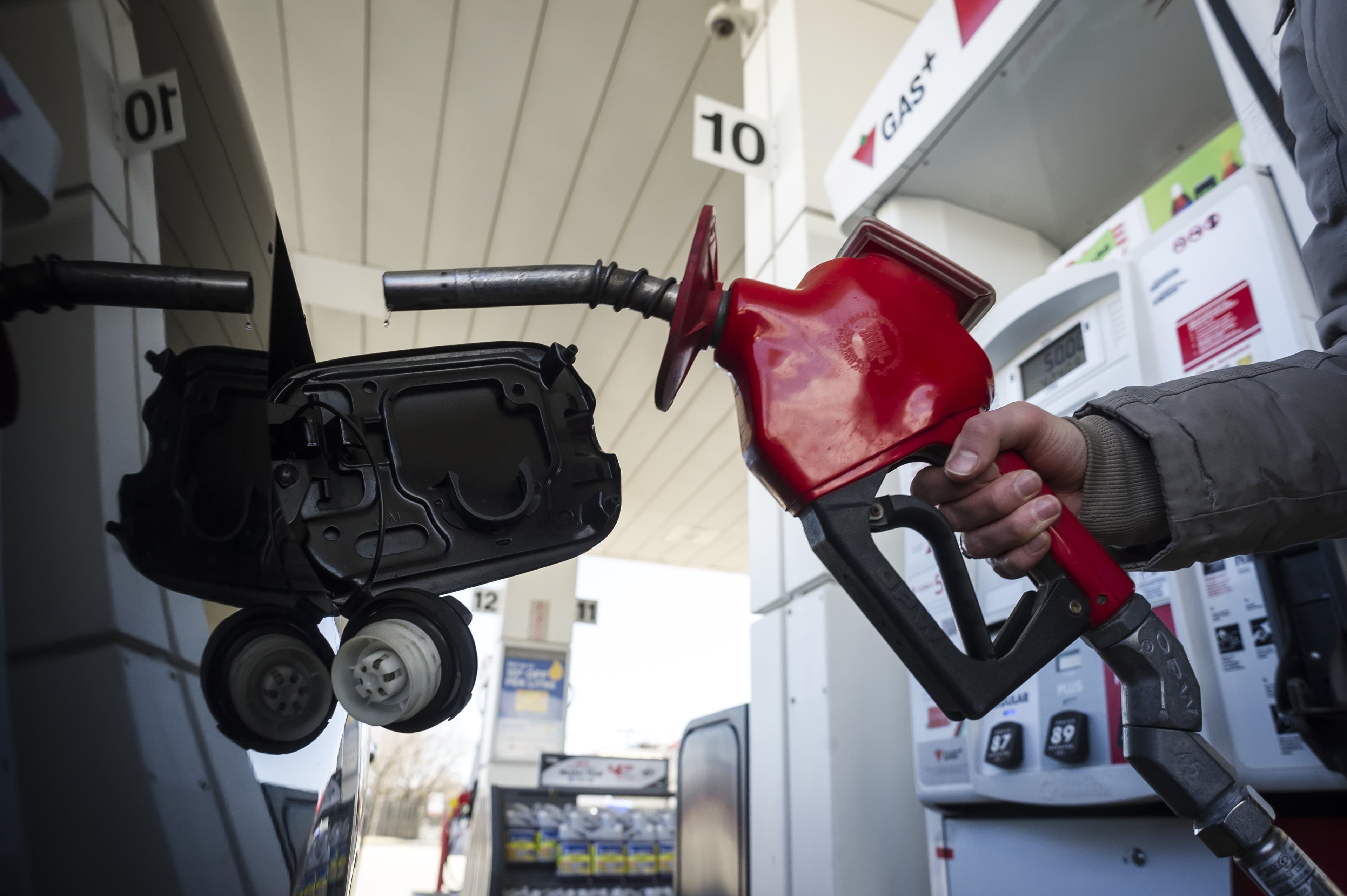 Ford and Trudeau take carbon tax fight to court