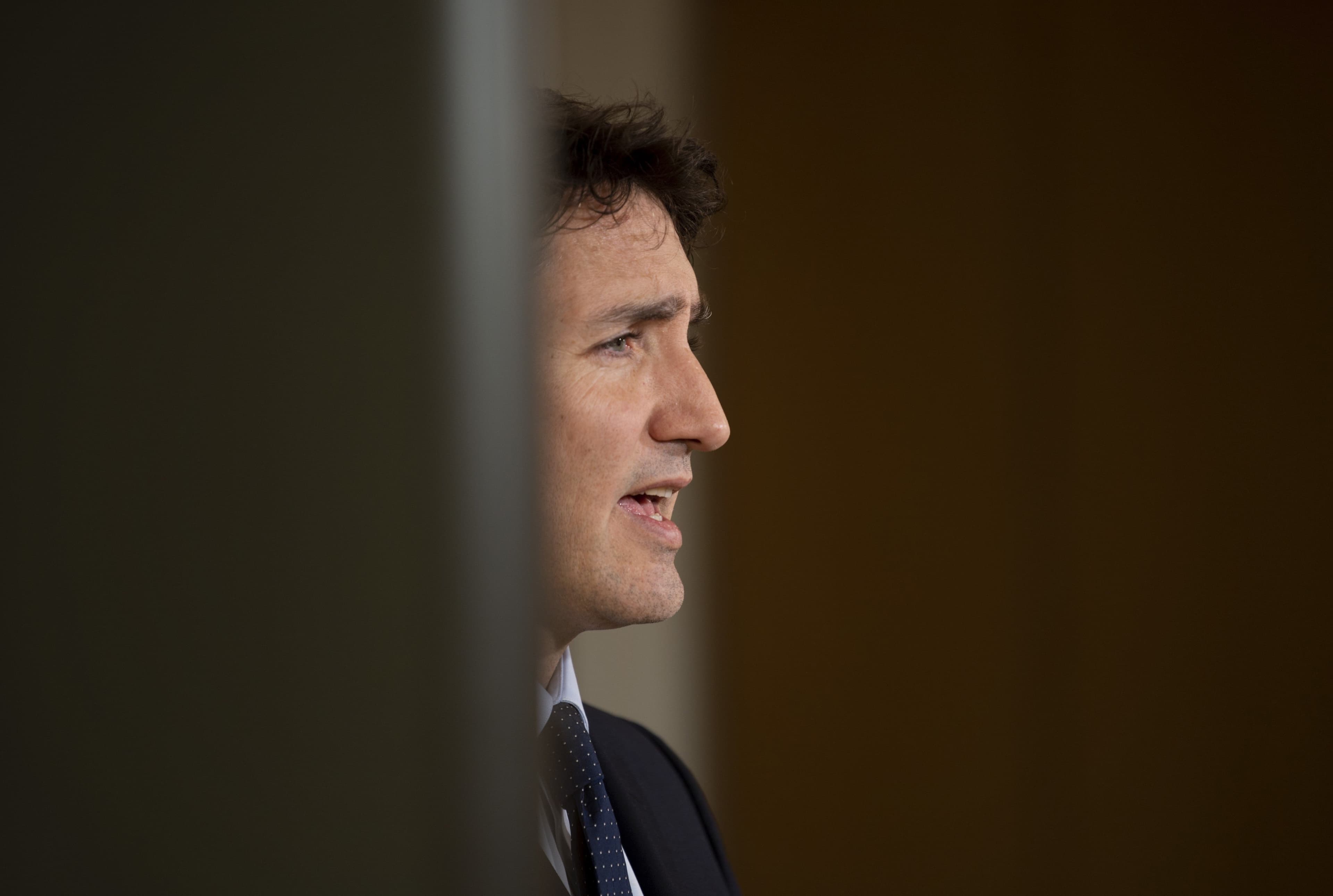 That old Liberal story: the 'hidden agenda'