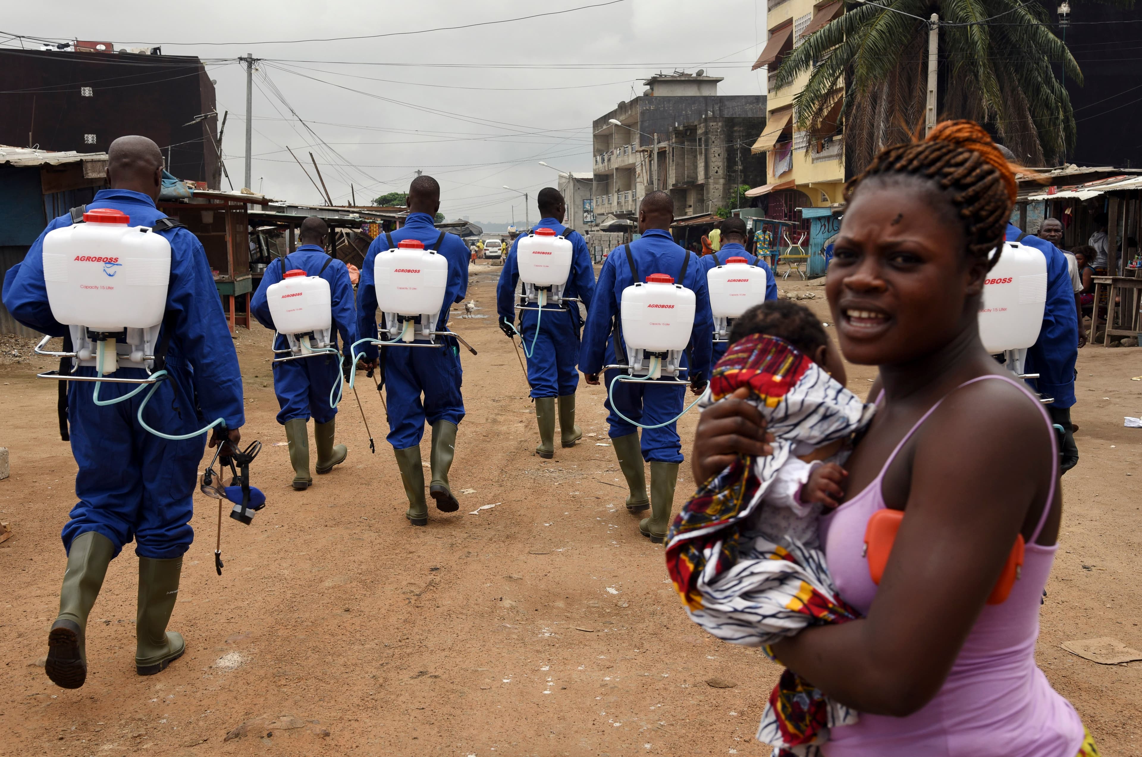 The mosquito has killed billions and changed our DNA—and it's going to get worse