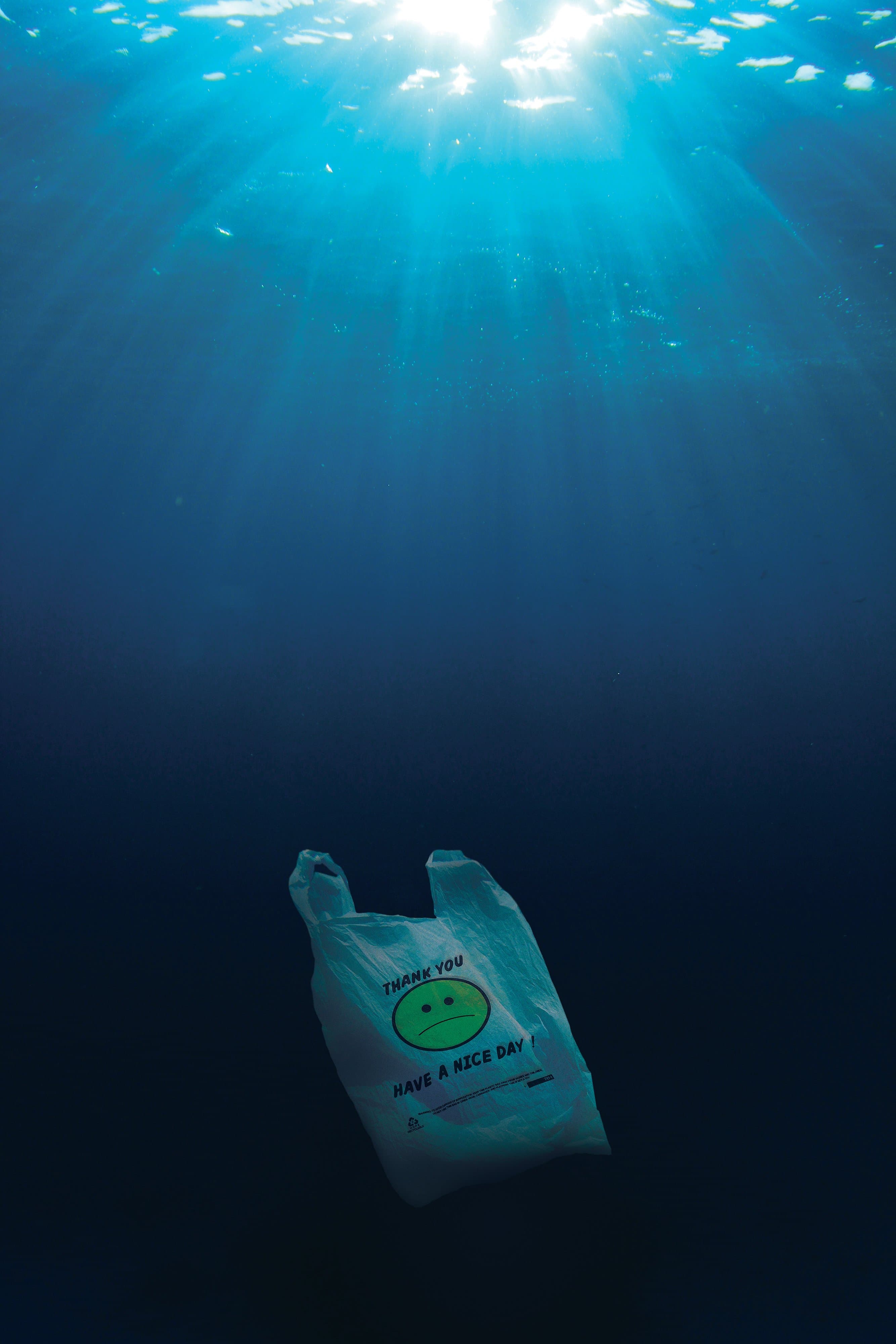 Is that my plastic bag in the Mariana Trench?