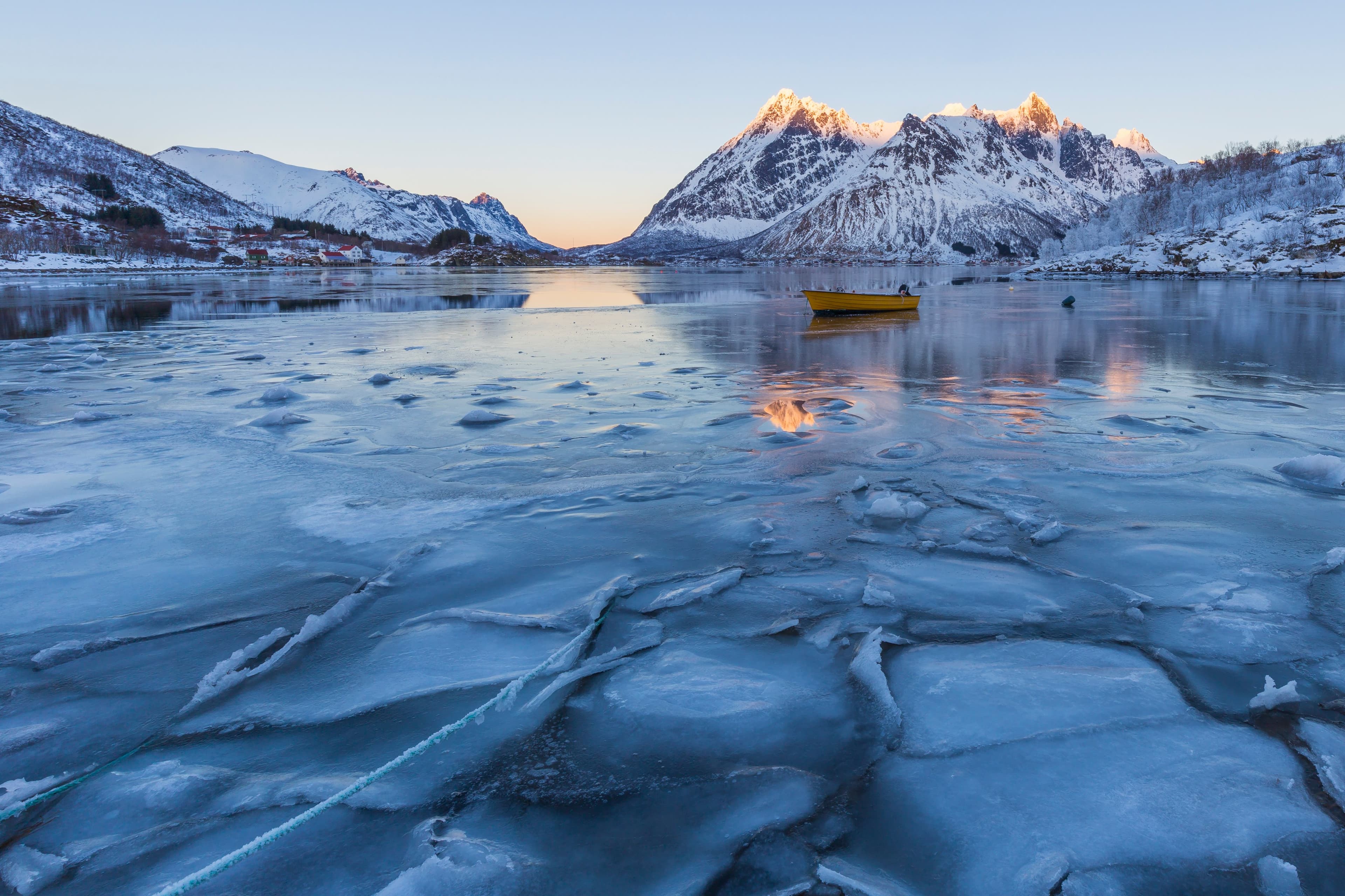 Sea-ice algae are losing their homes and the ocean is at risk of starving