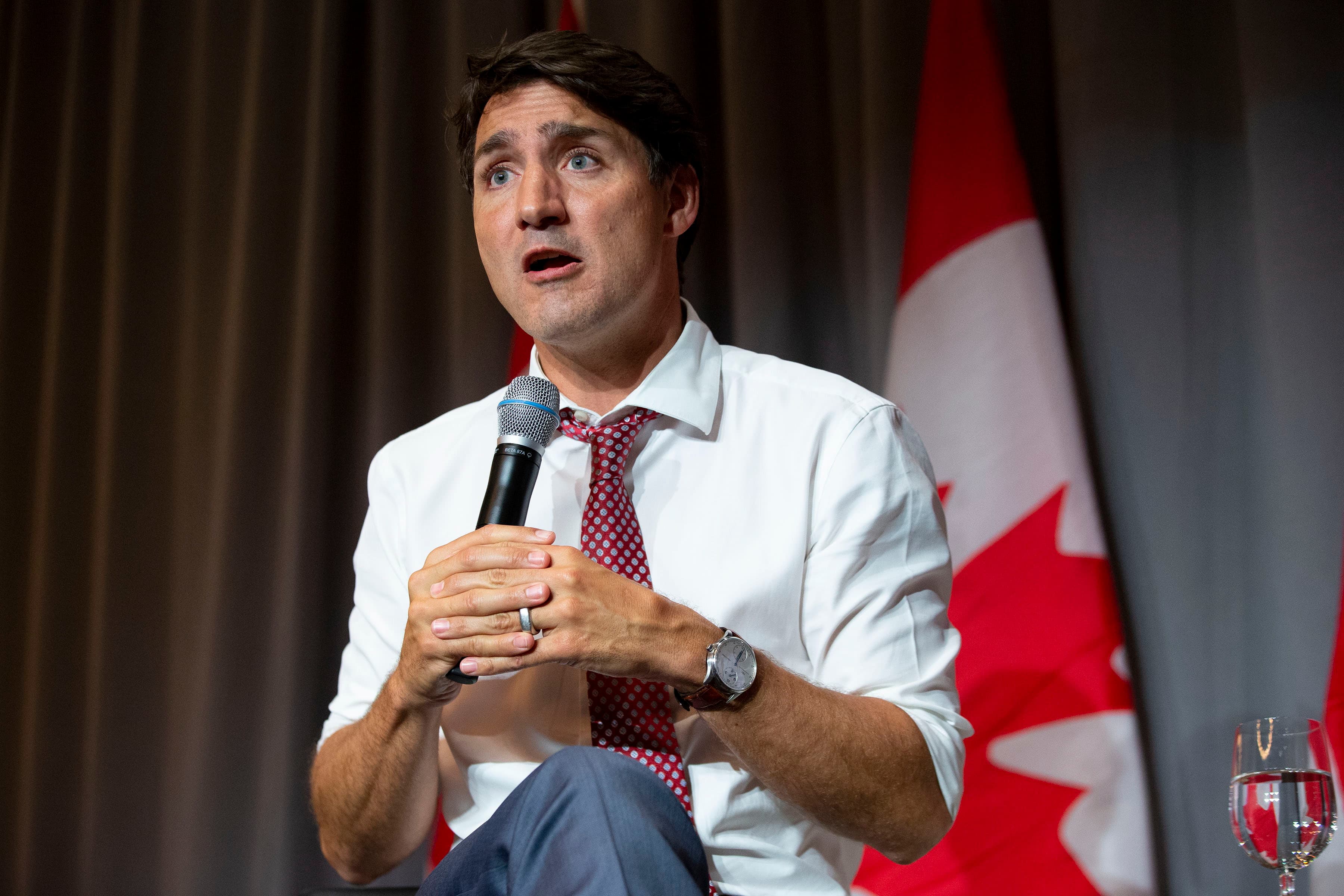 The Liberal supporters who'd like Trudeau held to a minority. Yes, they exist.