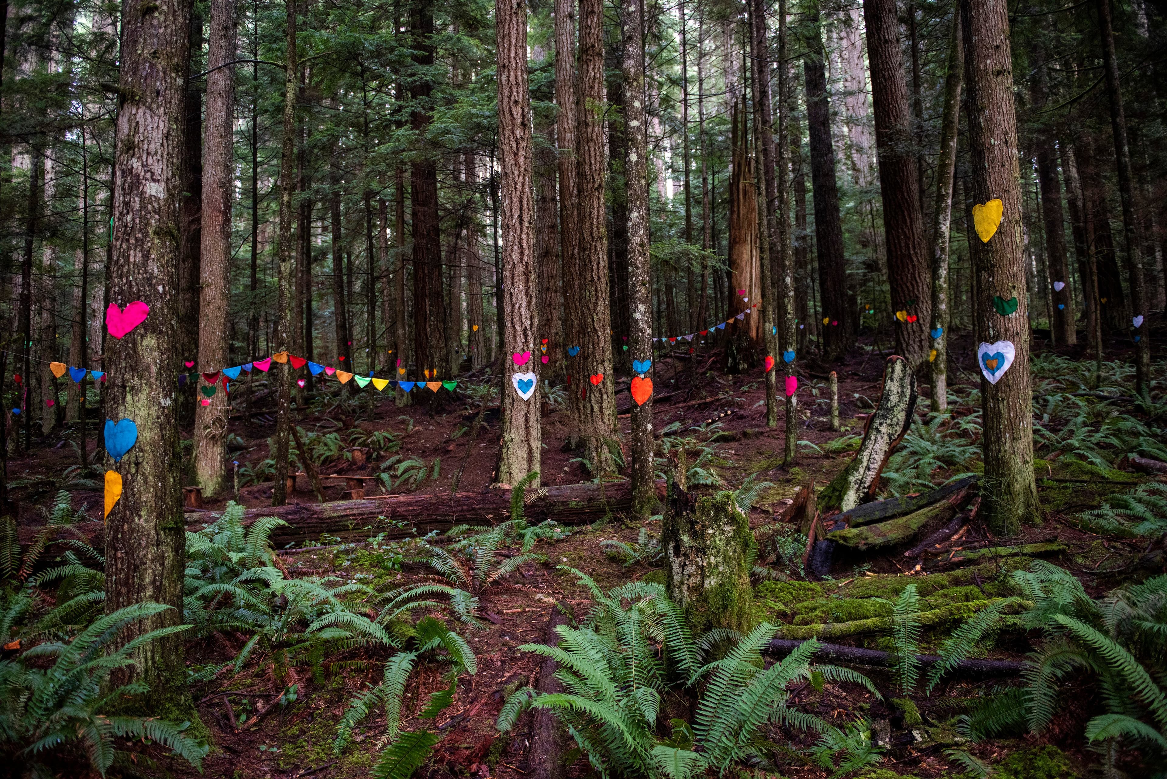 A heartfelt protest in B.C.'s Clack Creek Forest