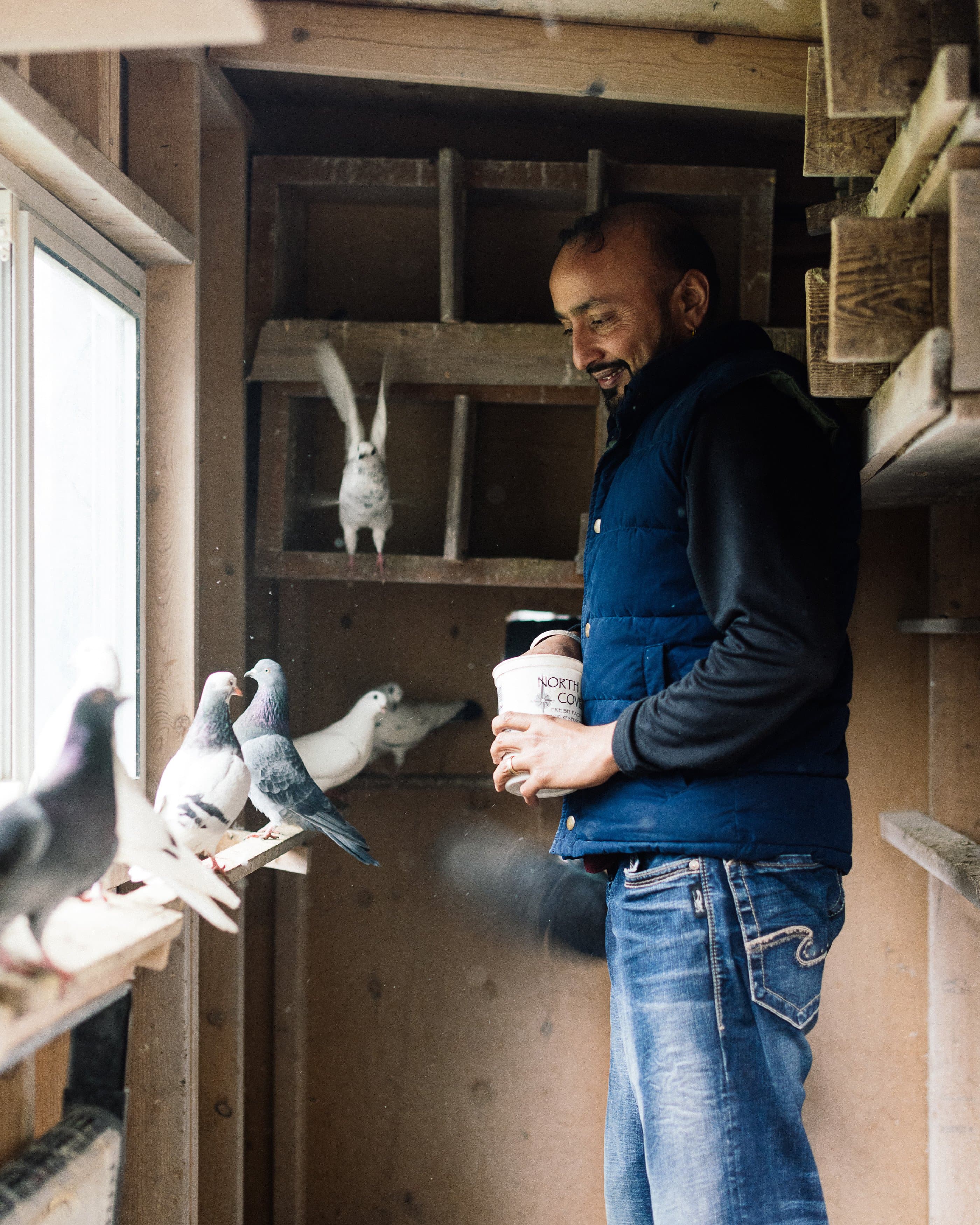 A backyard pigeon ban that goes to the heart of good government