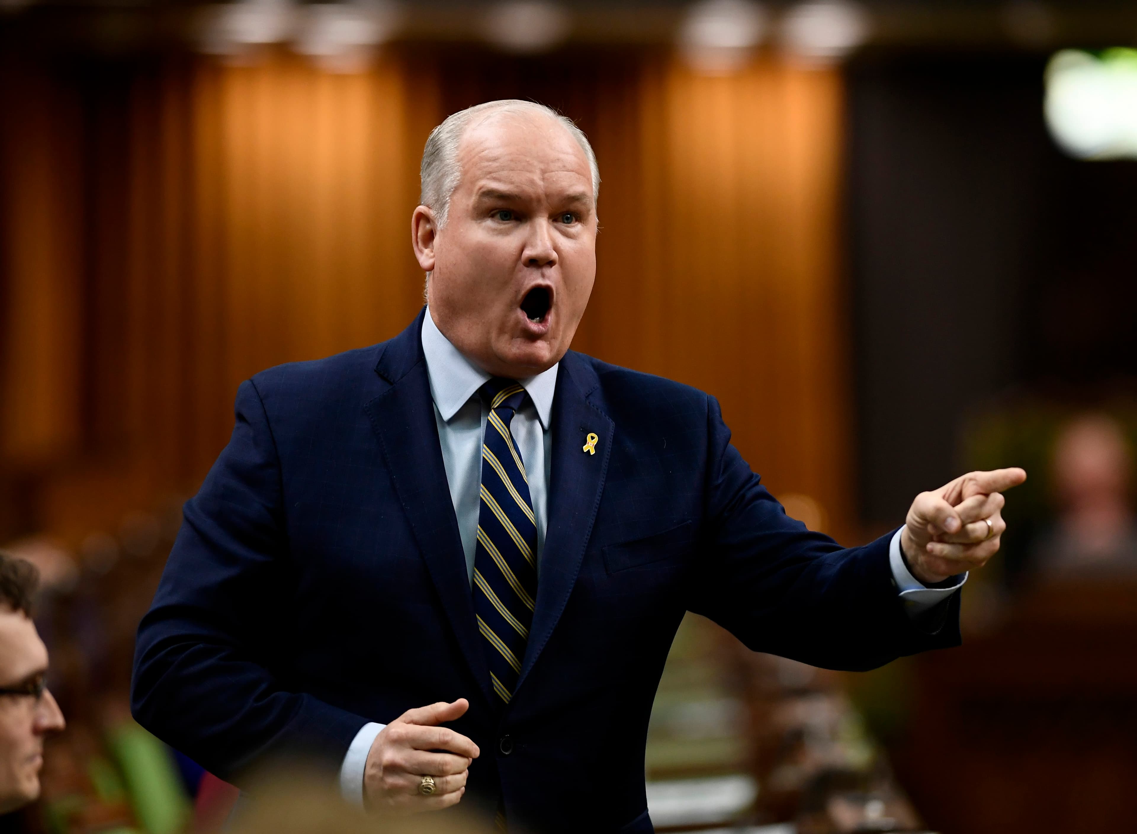 Erin O'Toole is also a candidate for the Tory leadership