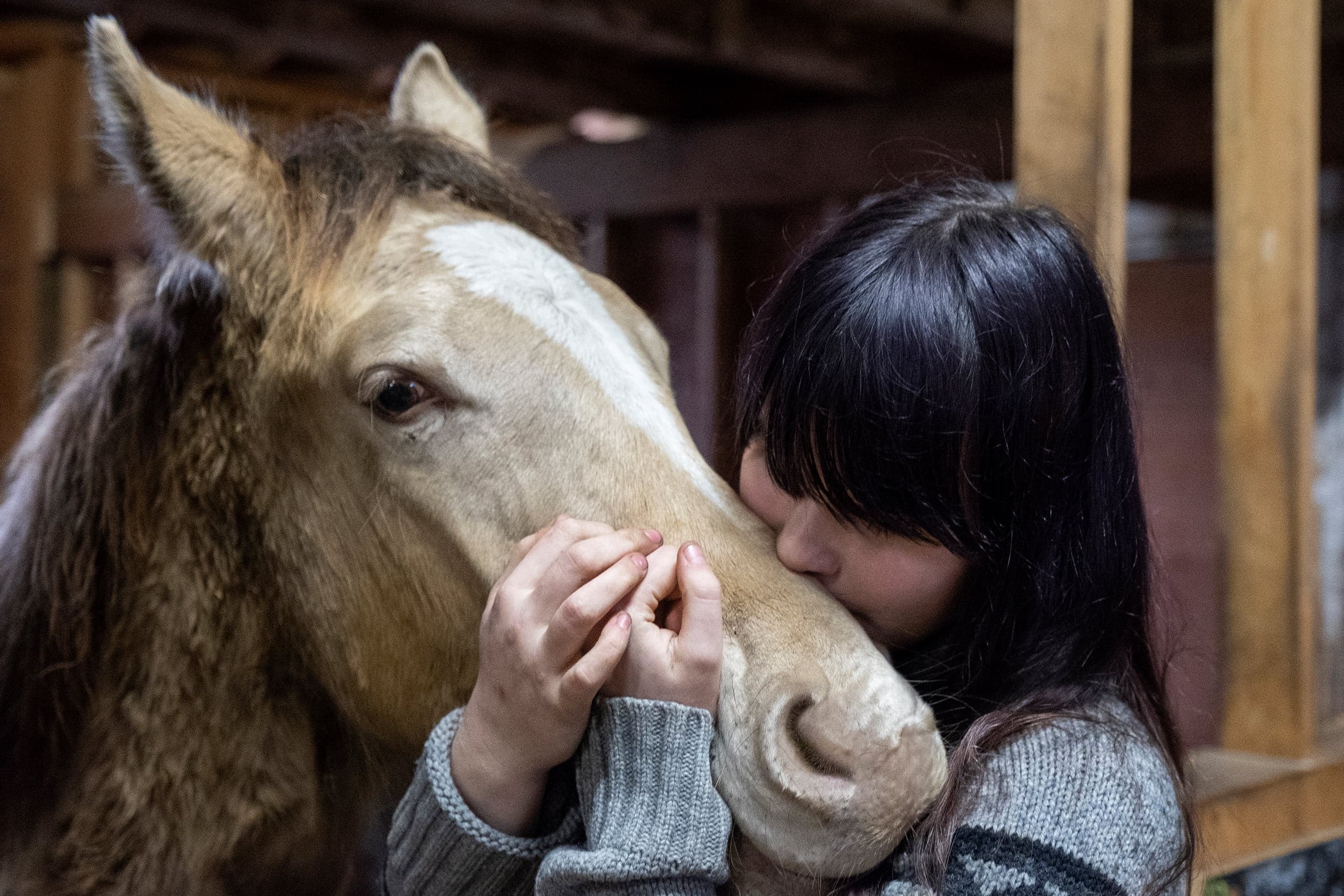 Canada is a go-to source of horsemeat. These activists are trying to change that.