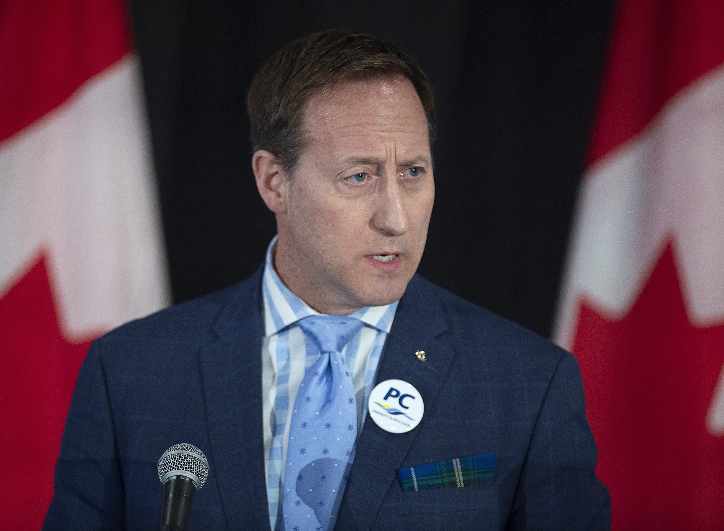 Peter MacKay chases a Pyrrhic victory