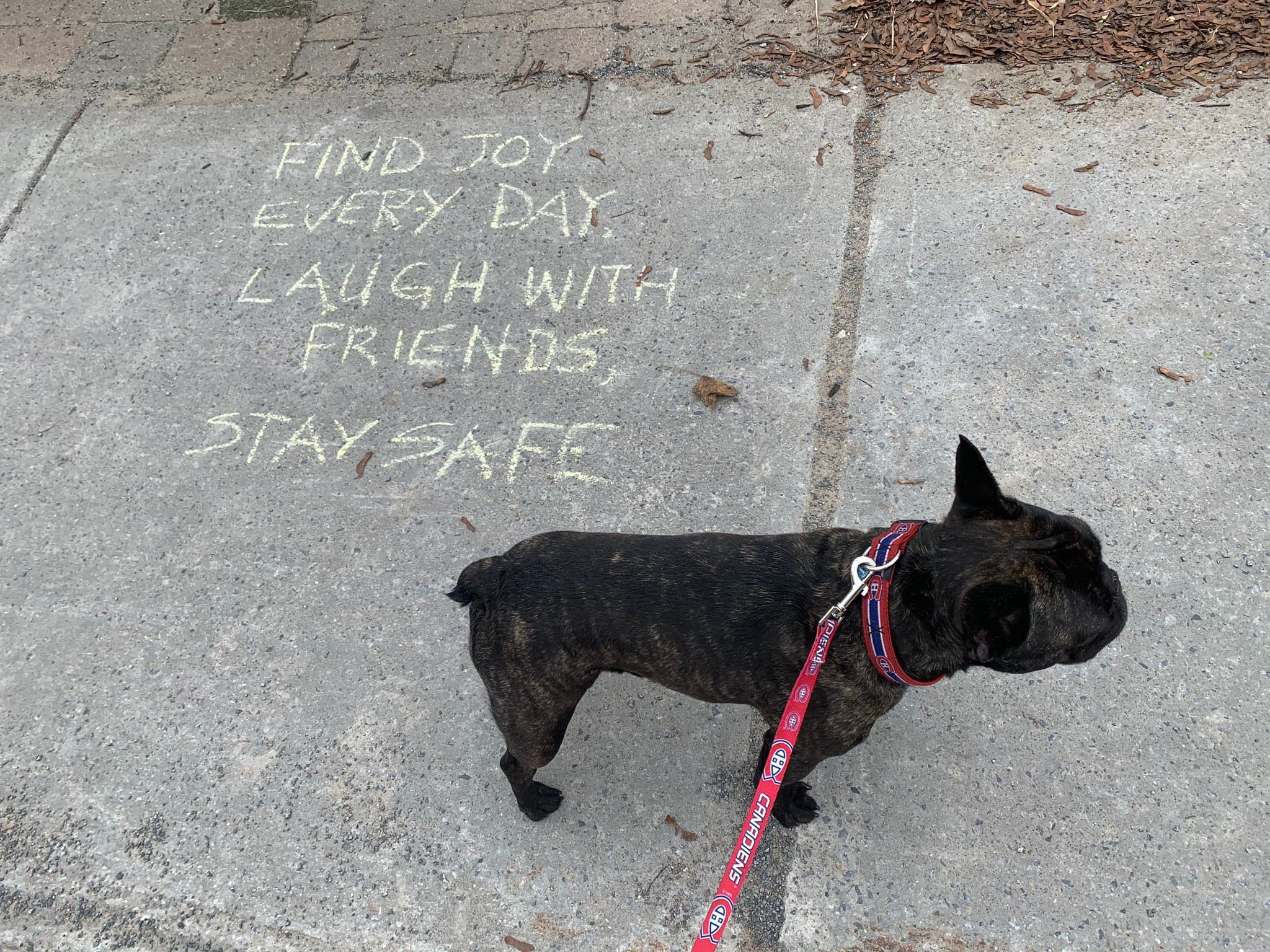 Canadian neighbours spreading positivity and thanks during the COVID-19 pandemic
