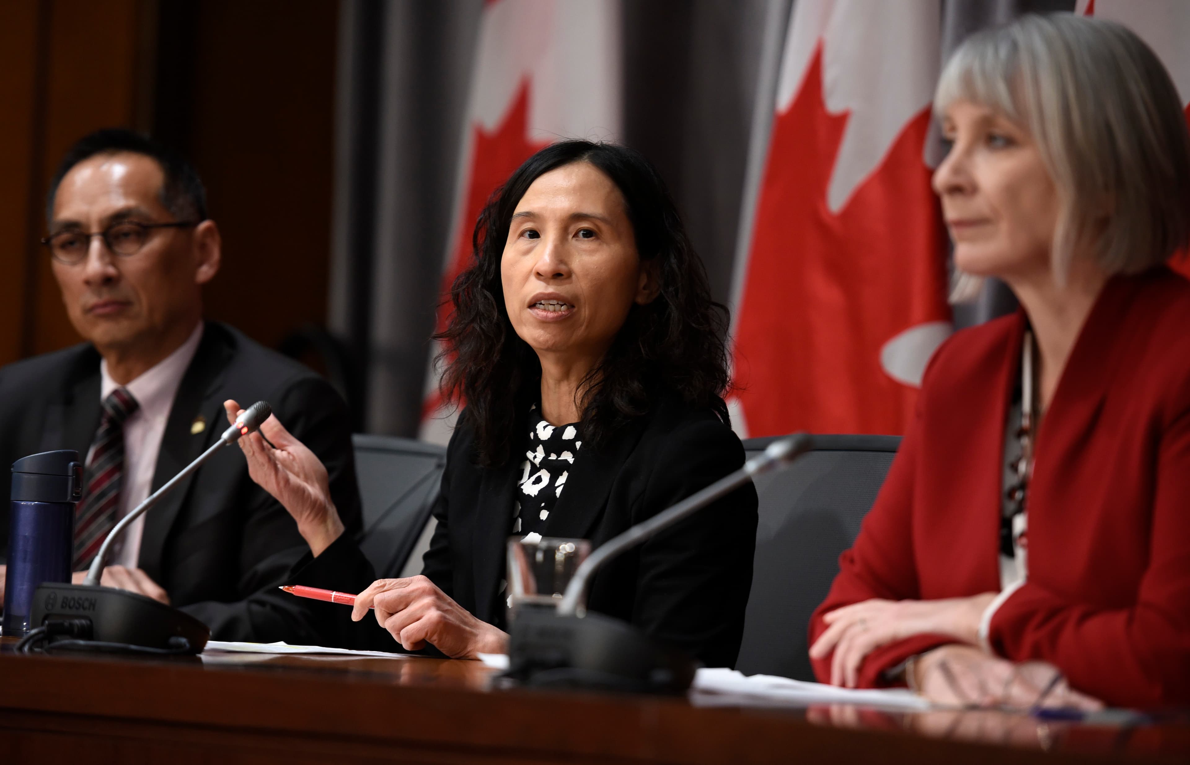 'We need to plank it': Theresa Tam's quote of the day